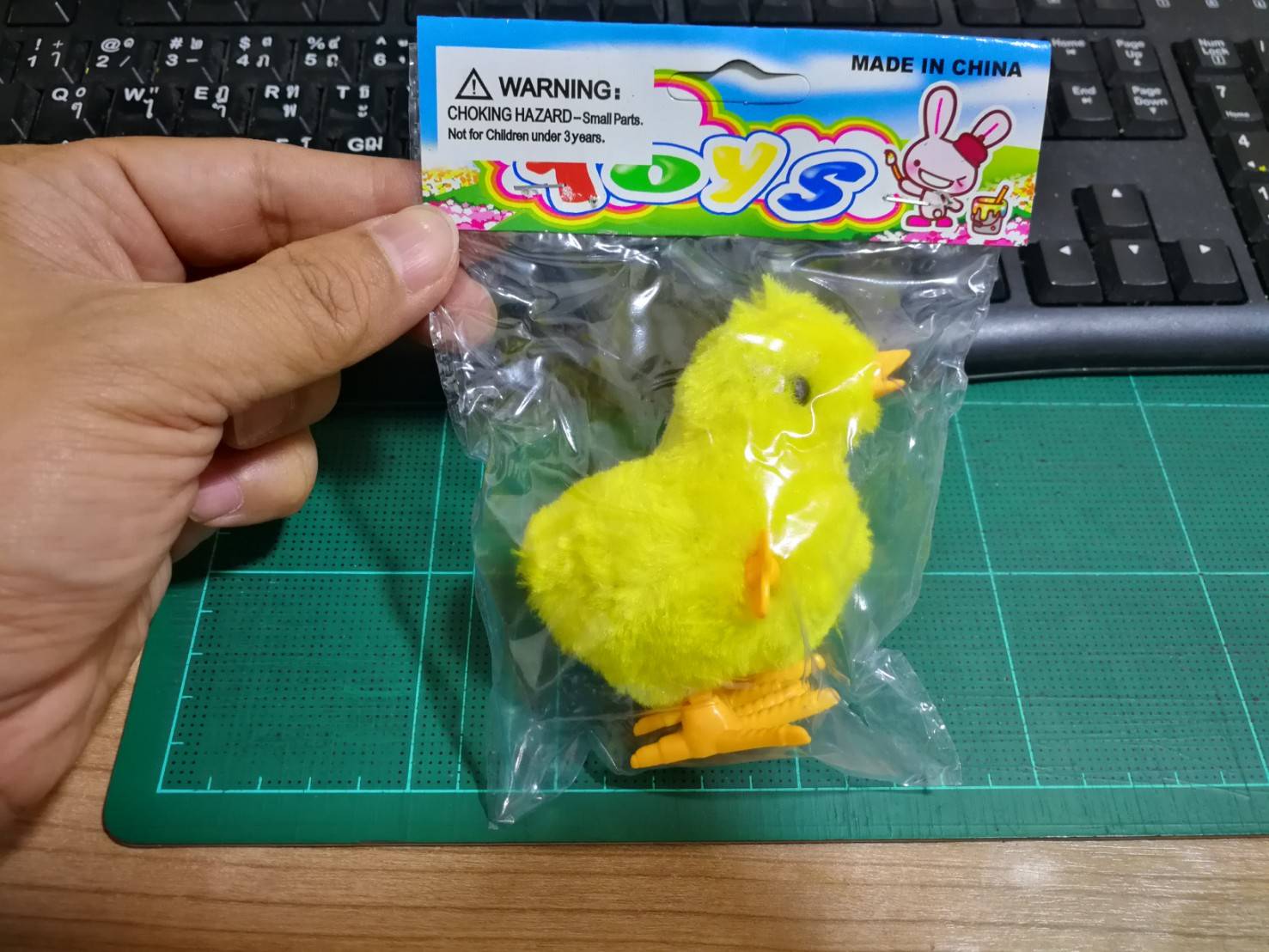 w816 (ไก่)ลูกเจี๊ยบไขลาน