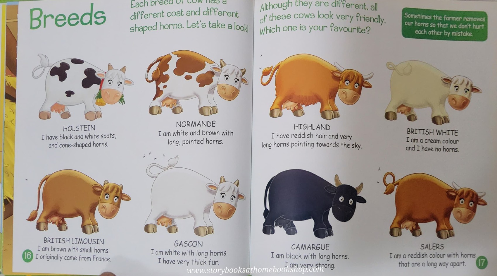 หนังสือนิทานปกแข็ง** 🍅🍓MY ANIMAL FARM: ANIMALS IN THE FIELD:COWS