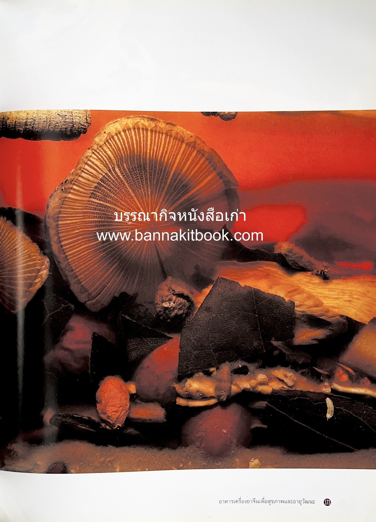 อาหารเครื่องยาจีน : หลักโภชนาการพร้อมสูตรอาหารอายุวัฒนะ โดย : รศ.ดร.ประพิณ มโนมัยวิบูลย์ และคณะ.