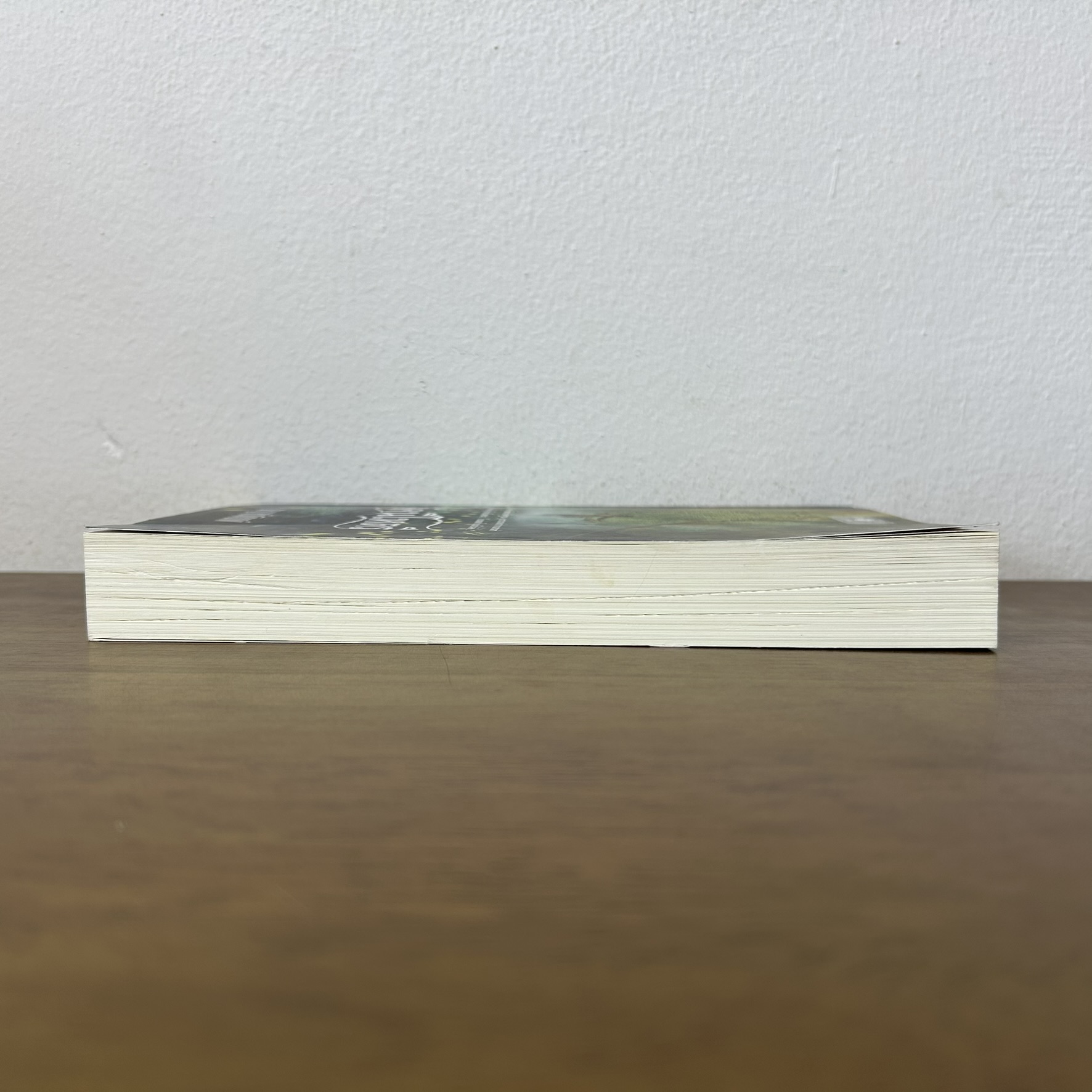 อัคนีโหตรี ... ชญาน์พิมพ์ (มือสอง) นิยาย โรแมนติก พิมพ์คำ สถาพร