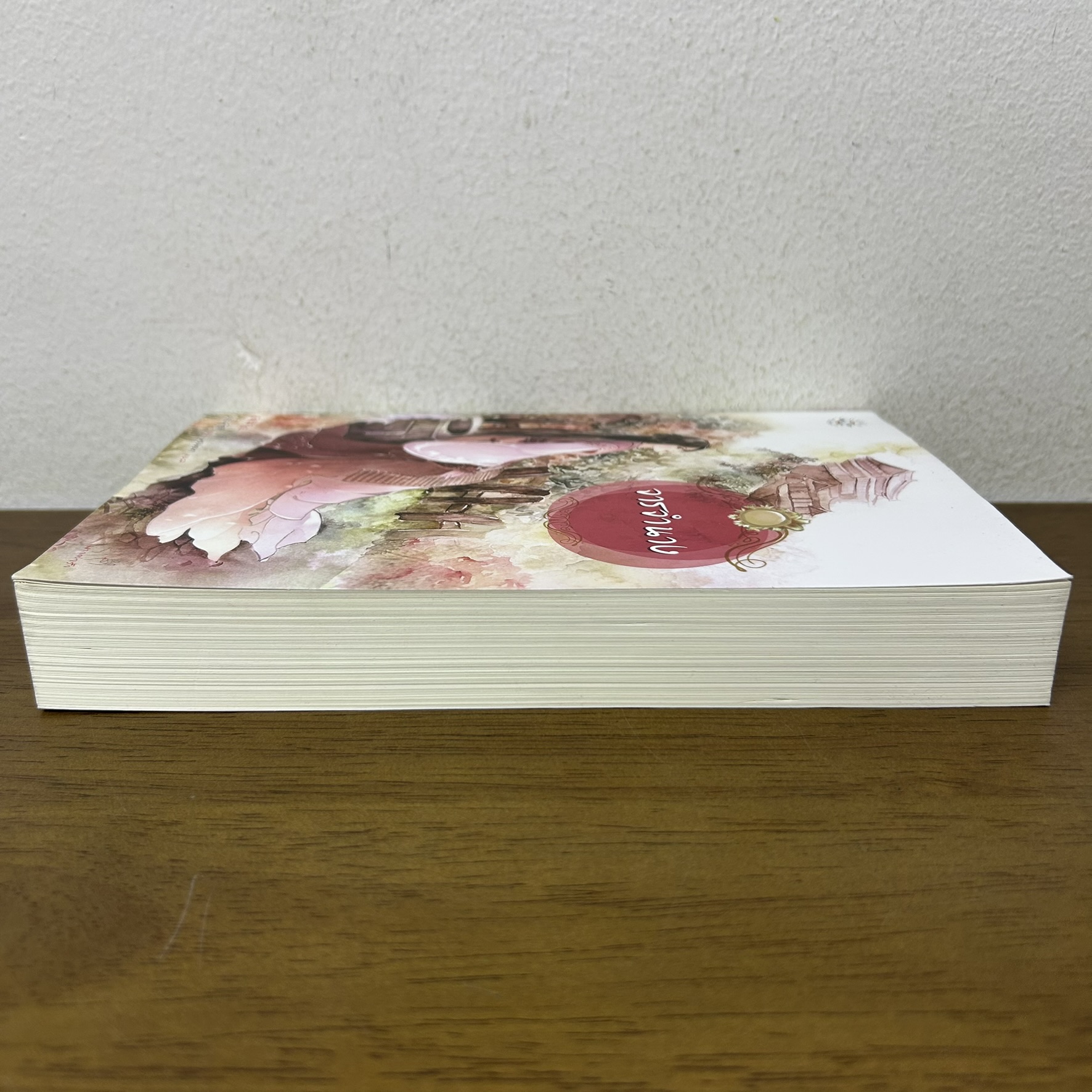 จารจำนาง ... อวี๋ฉิง เขียน (มือสอง) นิยาย แปลจีน แจ่มใส มากกว่ารัก