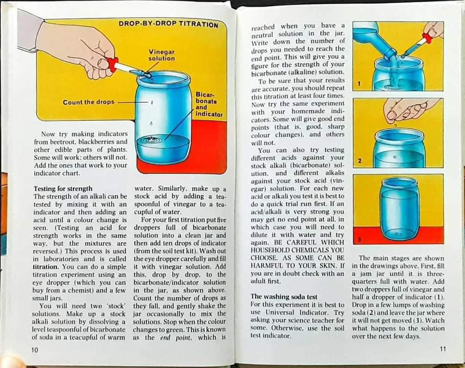 Knowledge Book** 🍅🍓A RAINBOW FACTBOOK HOME SCIENTIST