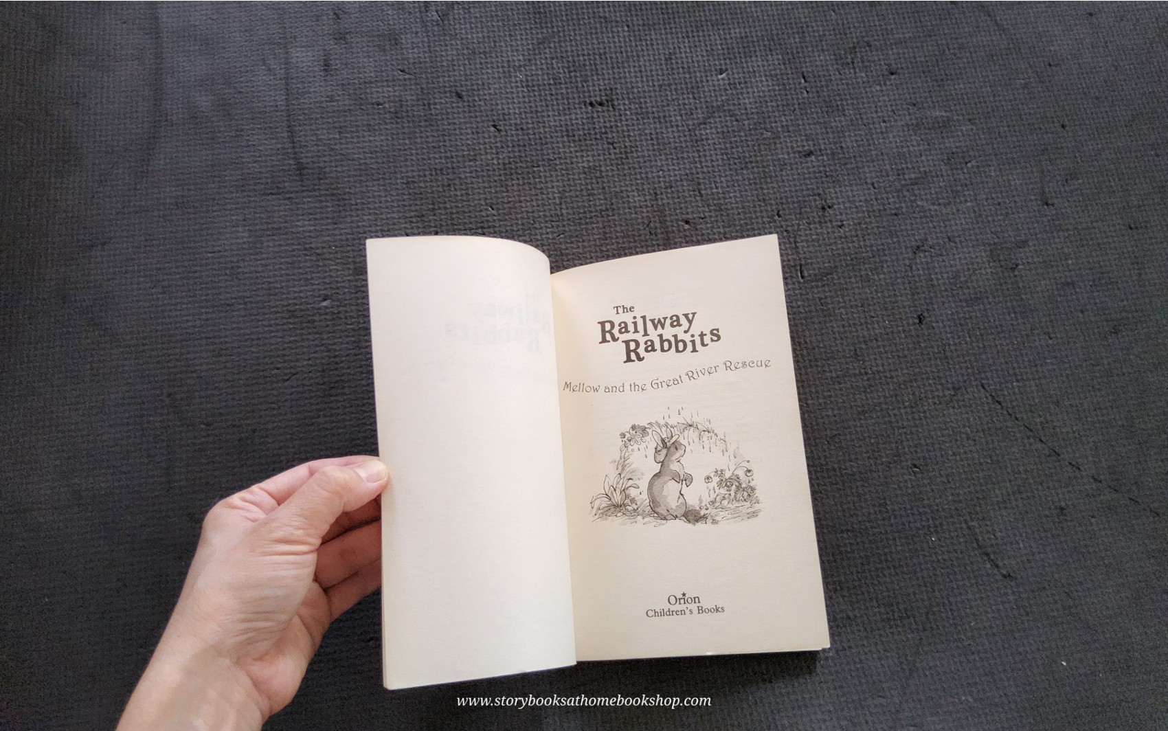 วรรณกรรมเยาวชน** 🍅The Railway Rabbites: Mellow and the Great River Rescue by Georgie Adams Anna Currey