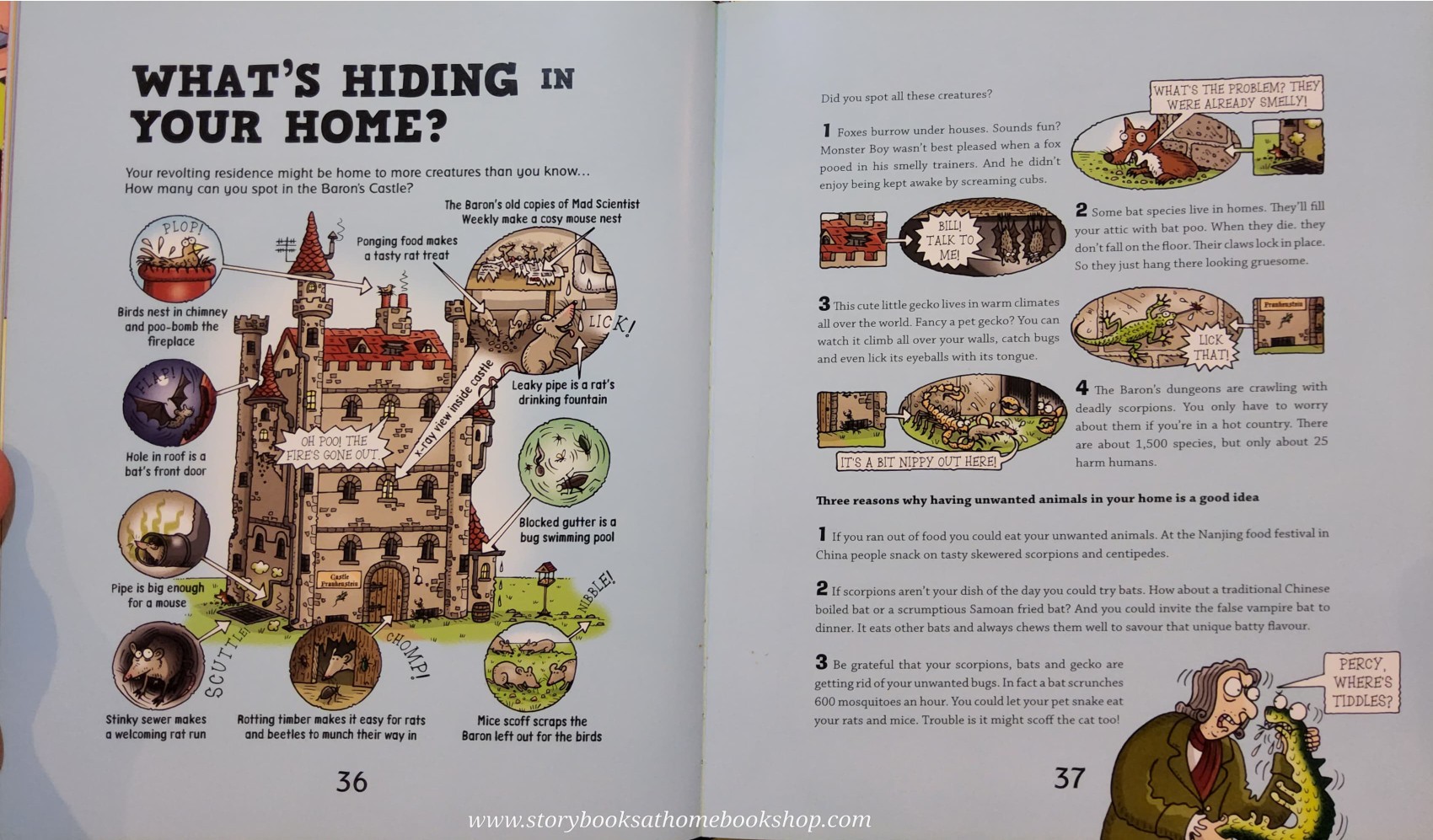 Knowledge Book ** ððHORRIBLE SCIENCE: HOUSE OF HORRORSâĨïļâĨïļ