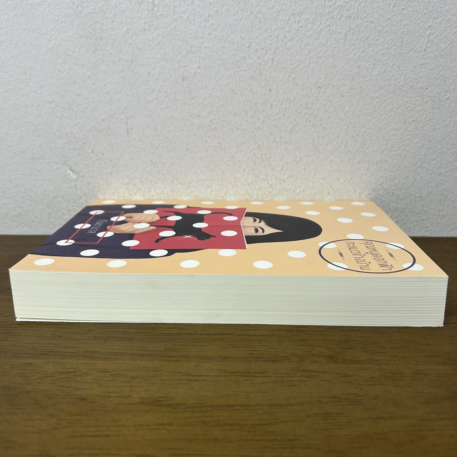 คุณหนูดอกฟ้ากะแมวข้างบ้าน ... กันยามาส (มือสอง) นิยาย โรแมนติก แสงดาว