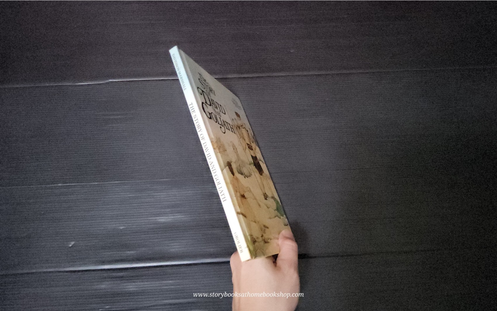 AN ALICE IN BIBLELAND STORYBOOK:THE STORY OF DAVID AND GOLIATH