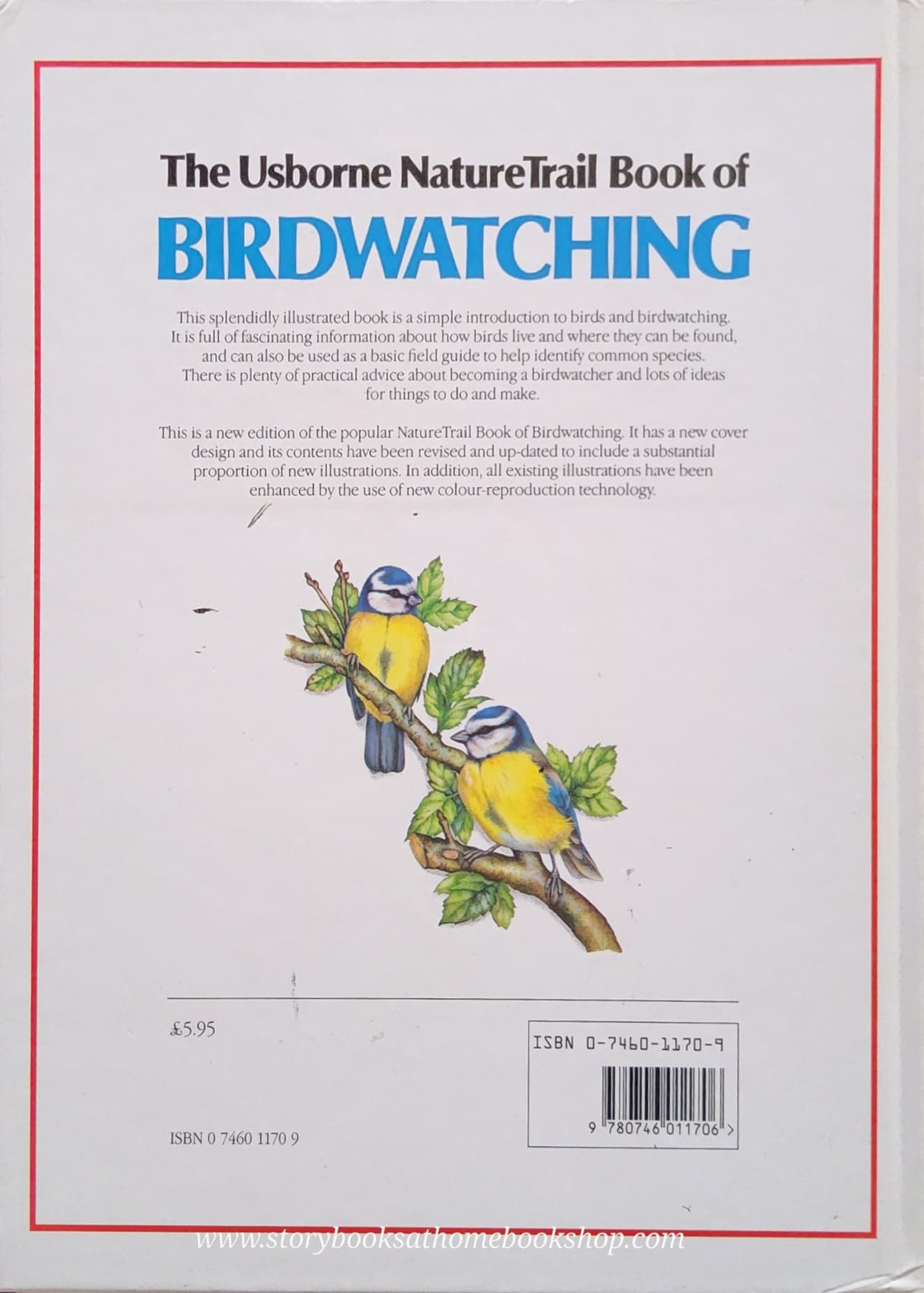 KNOWLEDGE BOOK** 🍓🍓THE USBORNE NATURETRAIL BOOK OF BIRDWATCHING
