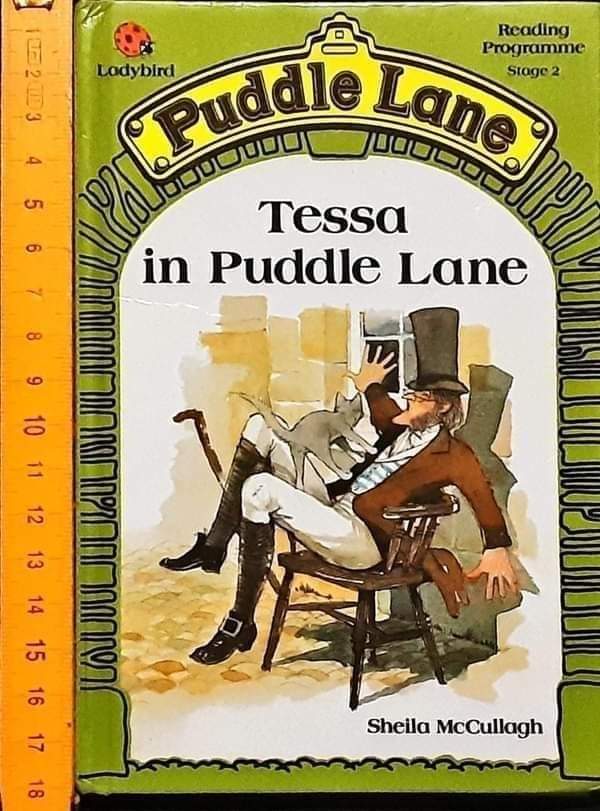 หนังสือนิทานปกแข็ง ** 🍅🍓 Puddle Lane Reading Programne Stage2: Tessa in Puddle Lane
