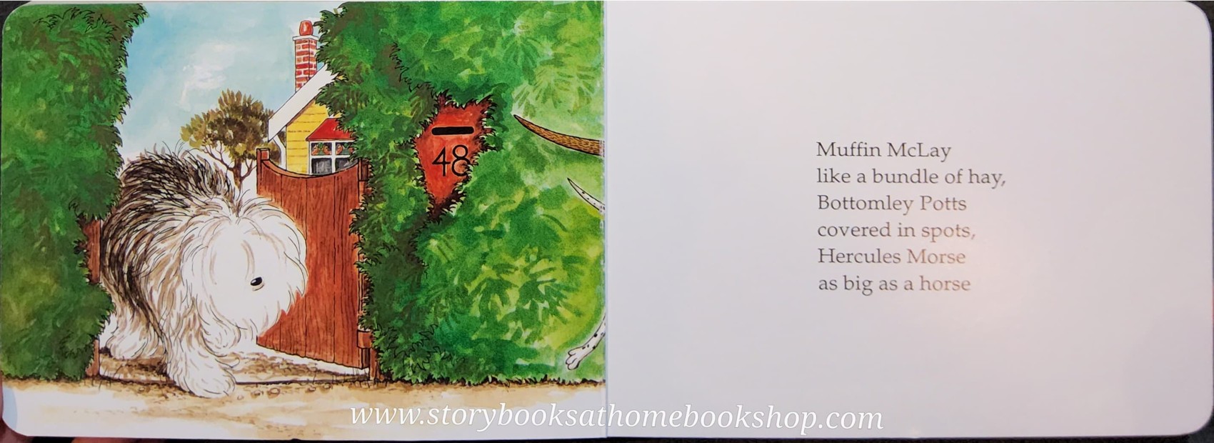 BOARD BOOK ** 🍅🍓 Hairy Maclary FROM DONALDSON'S DAIRY by Lynley Dodd♥️♥️