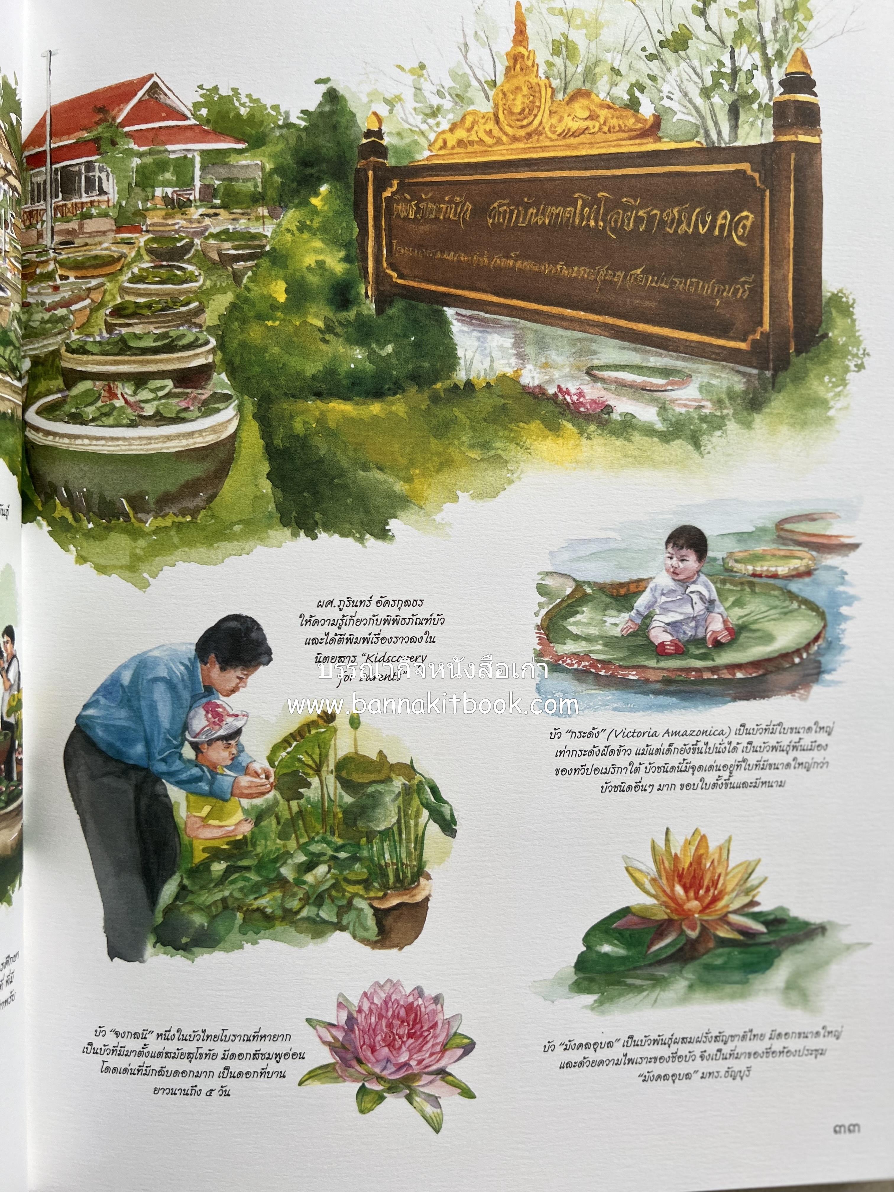 ๔๐ ปี มหาวิทยาลัยเทคโนโลยีราชมงคลธัญบุรี (เล่าเรื่องราววิวัฒนาการของมหาวิทยาลัยภาพวาดสีน้ำทั้งเล่ม).