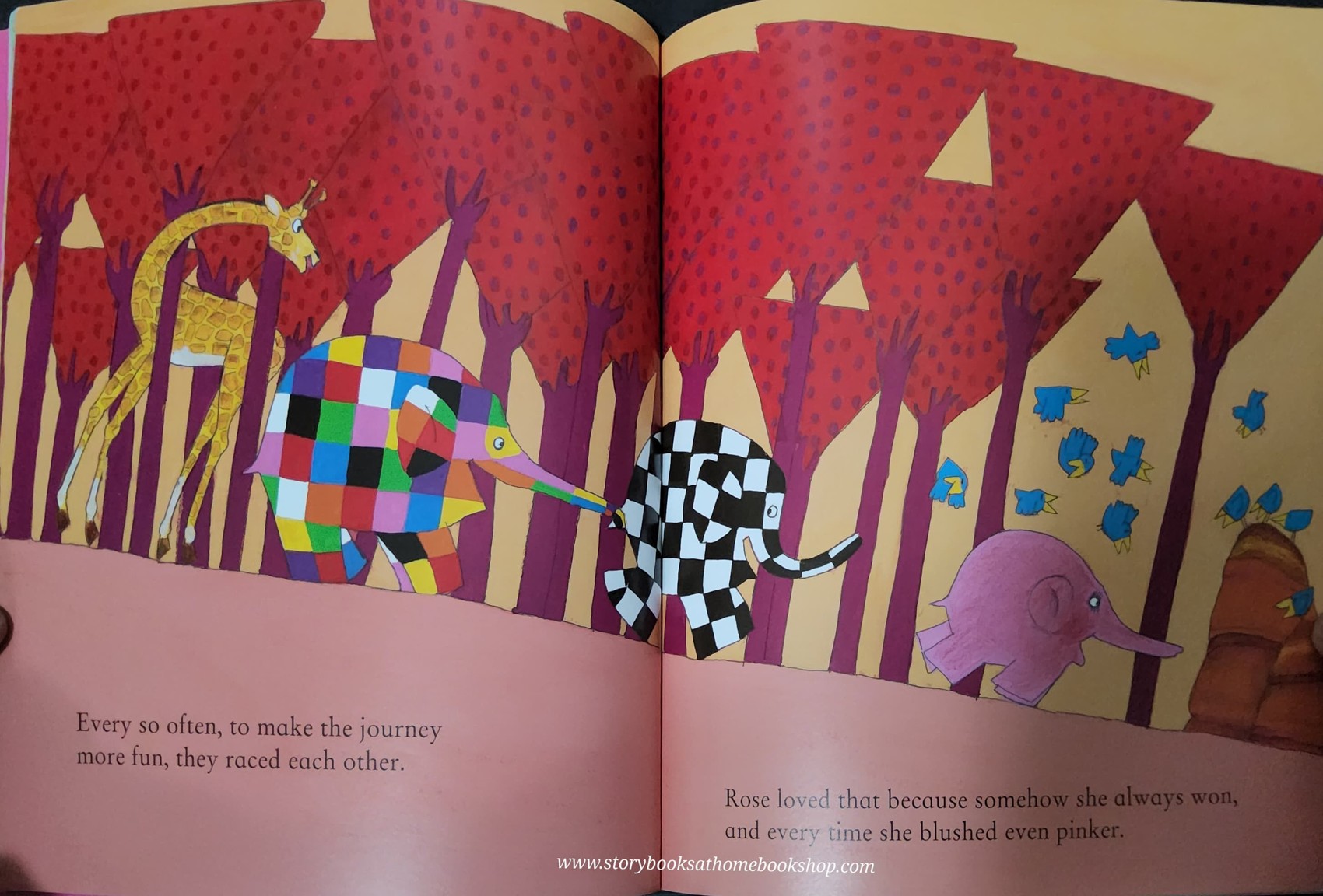 หนังสือนิทานปกอ่อน** 🍅🍅ELMER AND ROSE