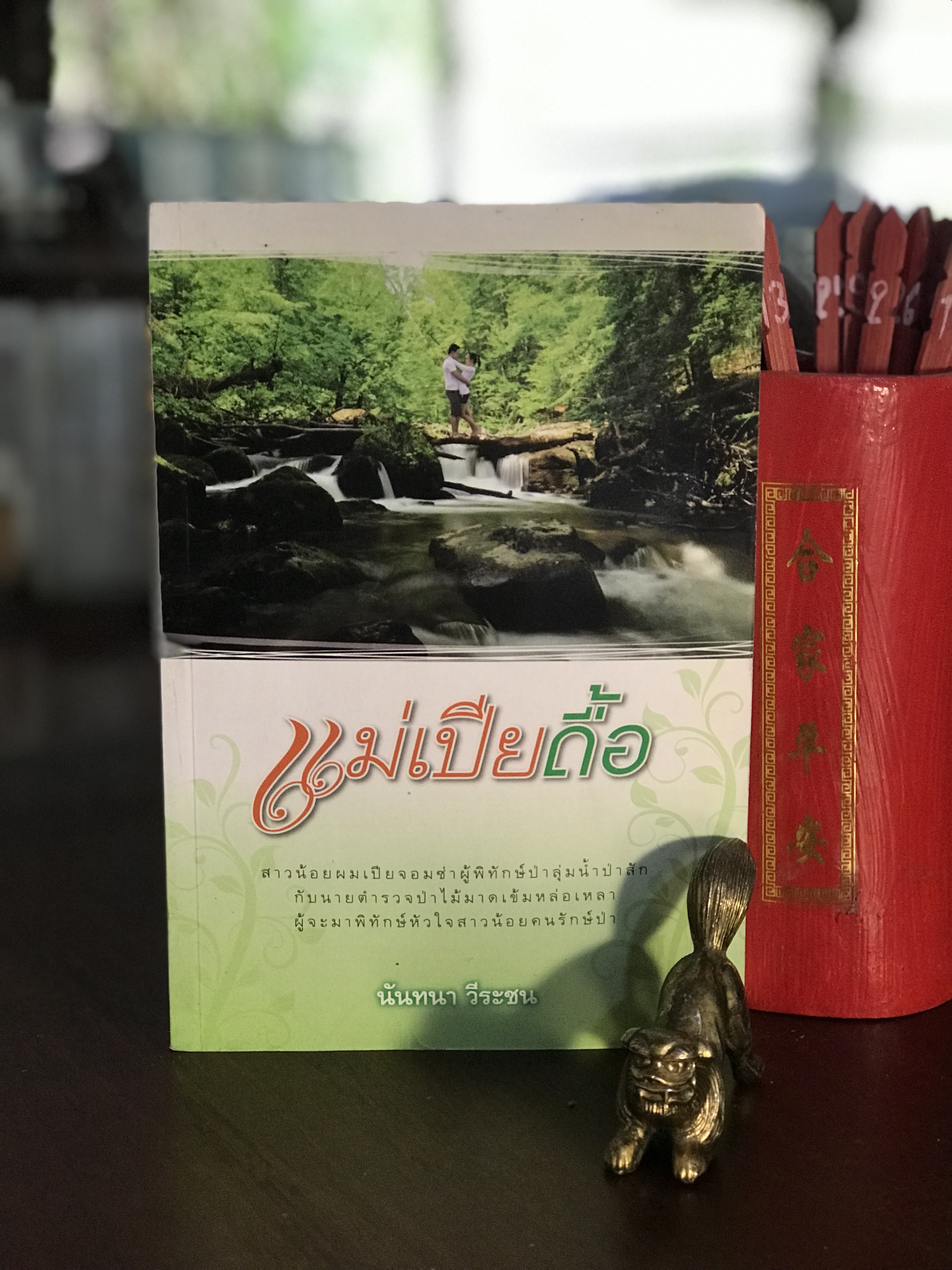 แม่เปียดื้อ ผู้เขียน นันทนา วีระชน สำนักพิมพ์แสงดาว | H7