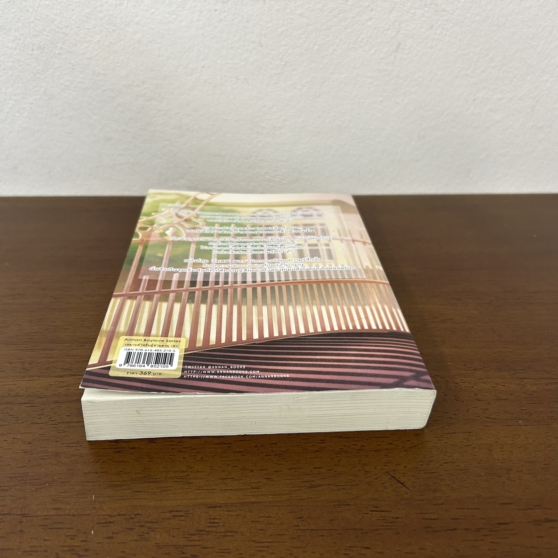 [YAOI] รักนี้ที่ดับลิน ... นกม่อ (มือสอง) นิยายวาย