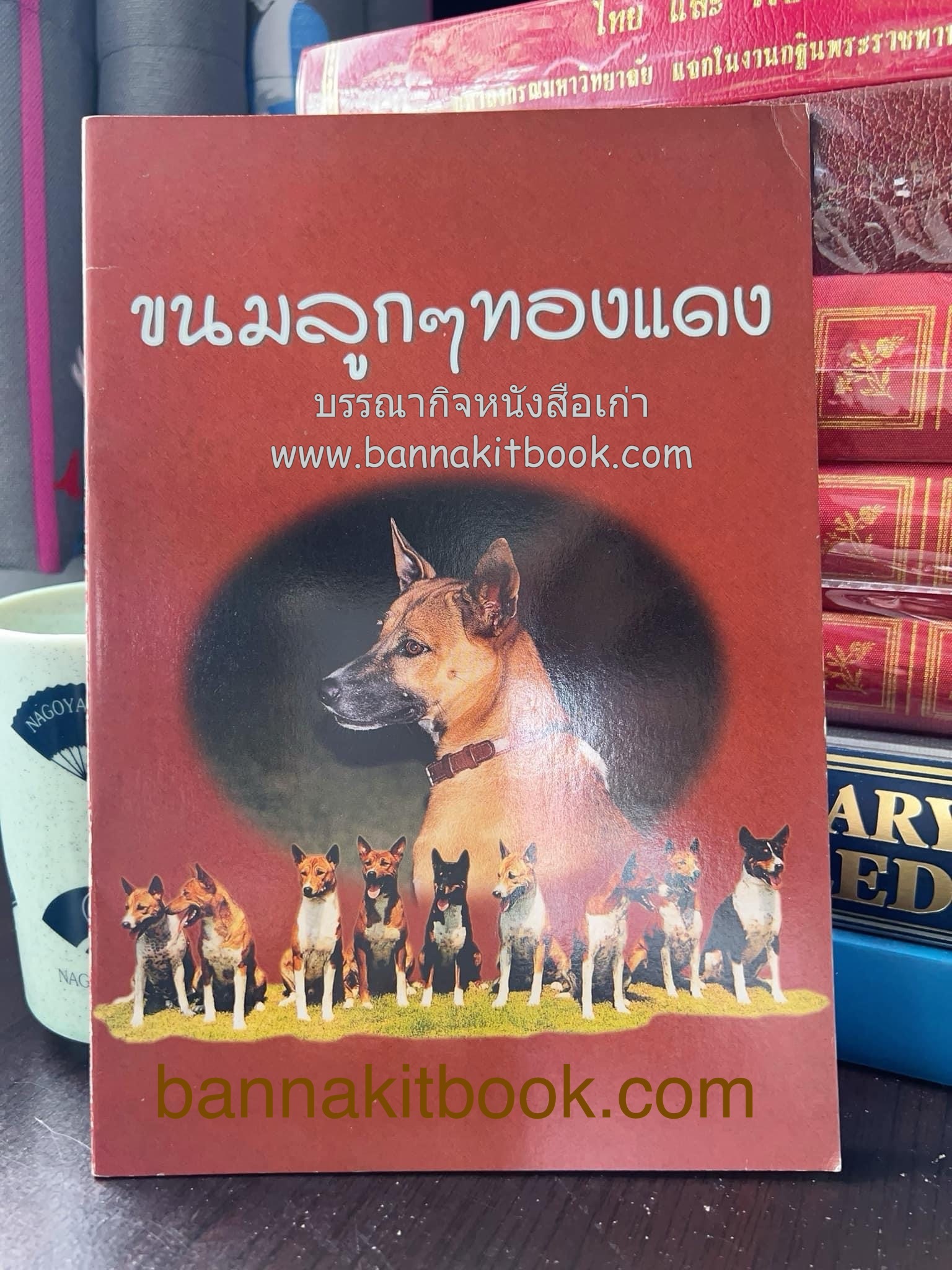 ขนมลูกๆ ทองแดง ของ วิทยาลัยในวังหญิง สูตรขนมโดย : หม่อมหลวงดรุณี จักรพันธุ์.