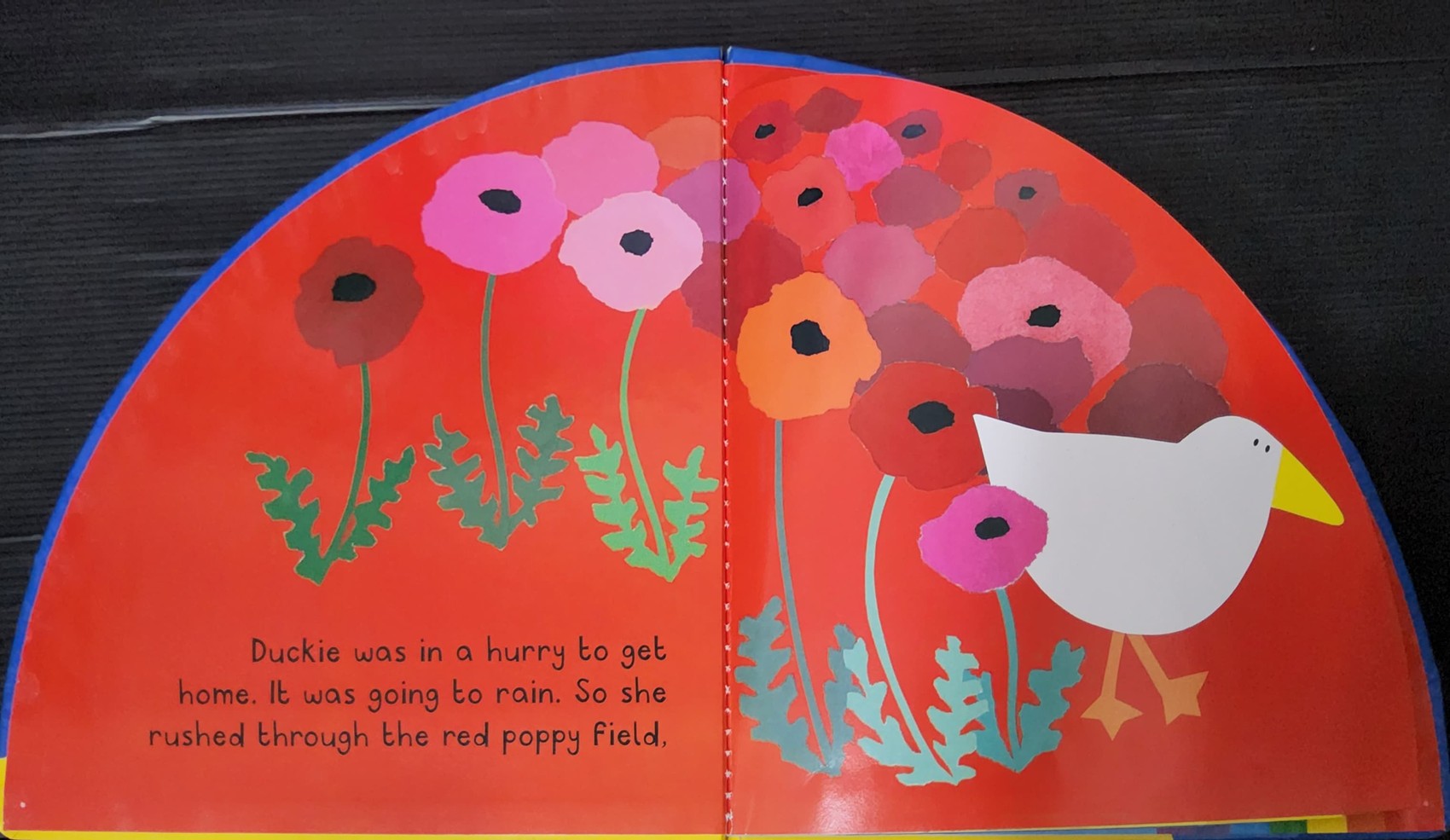 BOARD BOOK** ð
ð
DUCKIES RAINBOW