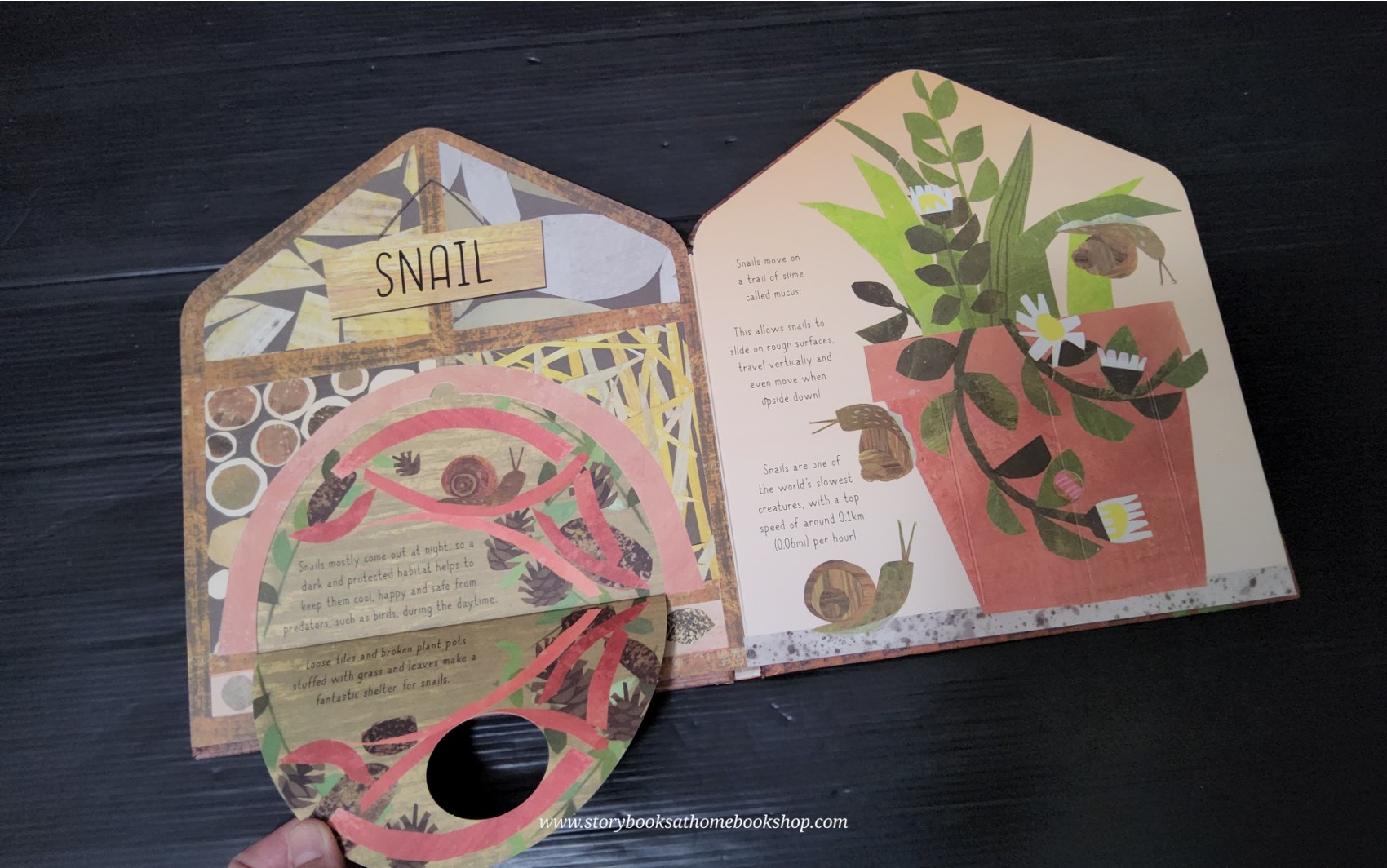 FLAP BOARD BOOK** 🍓🍓BUG HOTEL