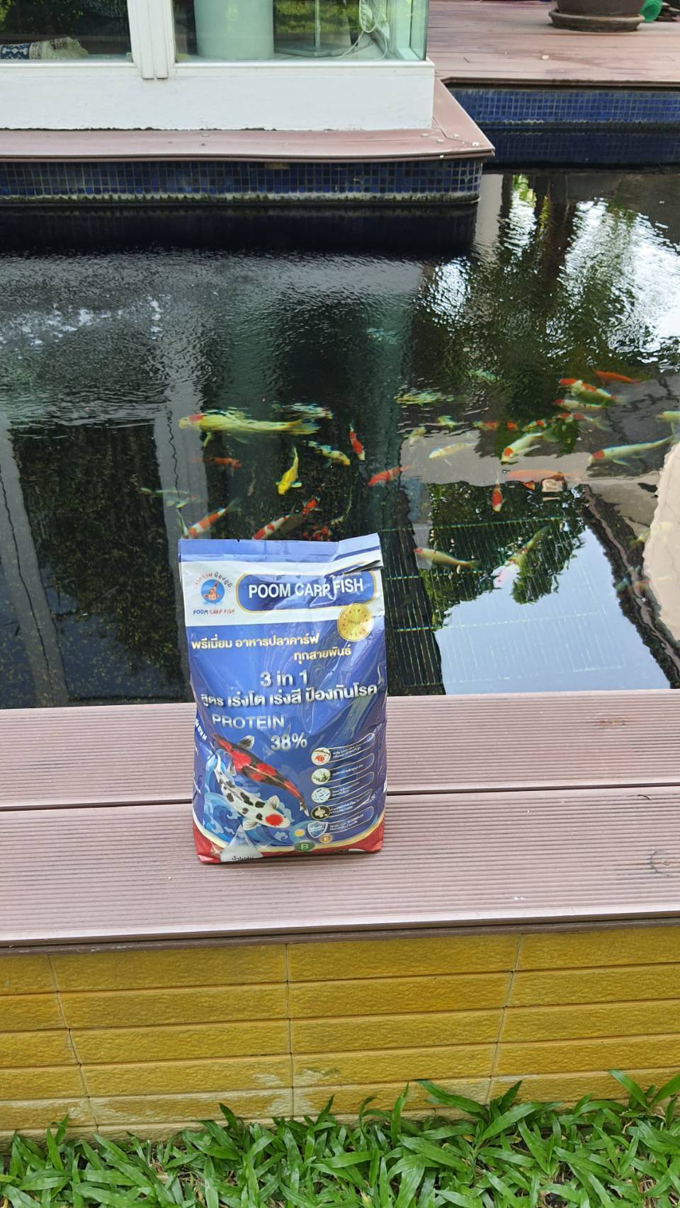 อาหารปลาคาร์ฟ น้ำไม่ขุ่น POOMCARPFISH ครบทุกสูตรในซองเดียว สูตร 3 in 1 (เร่งโต+เร่งสี+ป้องกันโรค) เหมาะปลาคราฟทุกสายพันธ์ (บรรจุถุง 1.5 กก.) สำเนา