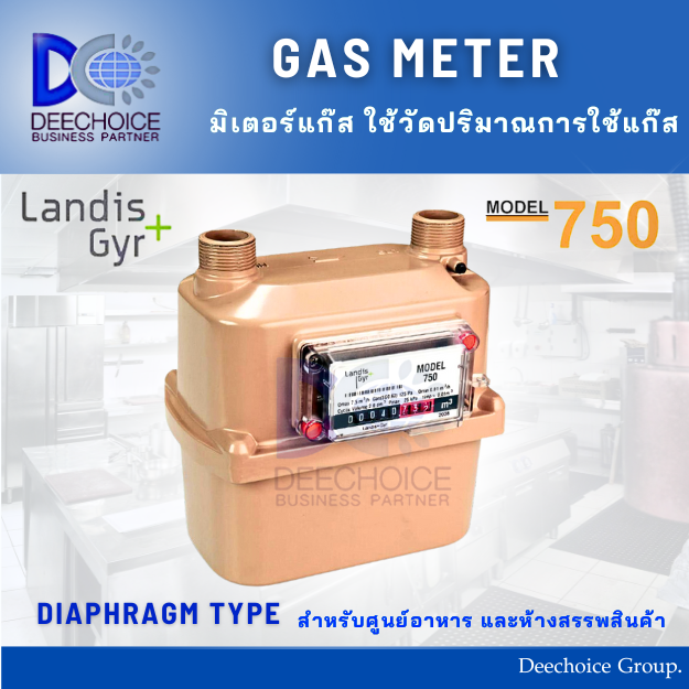 LANDIS+GYR GAS METER MODEL : 750HP 3/4 10M3/HR MADE OF AUSTRALIA