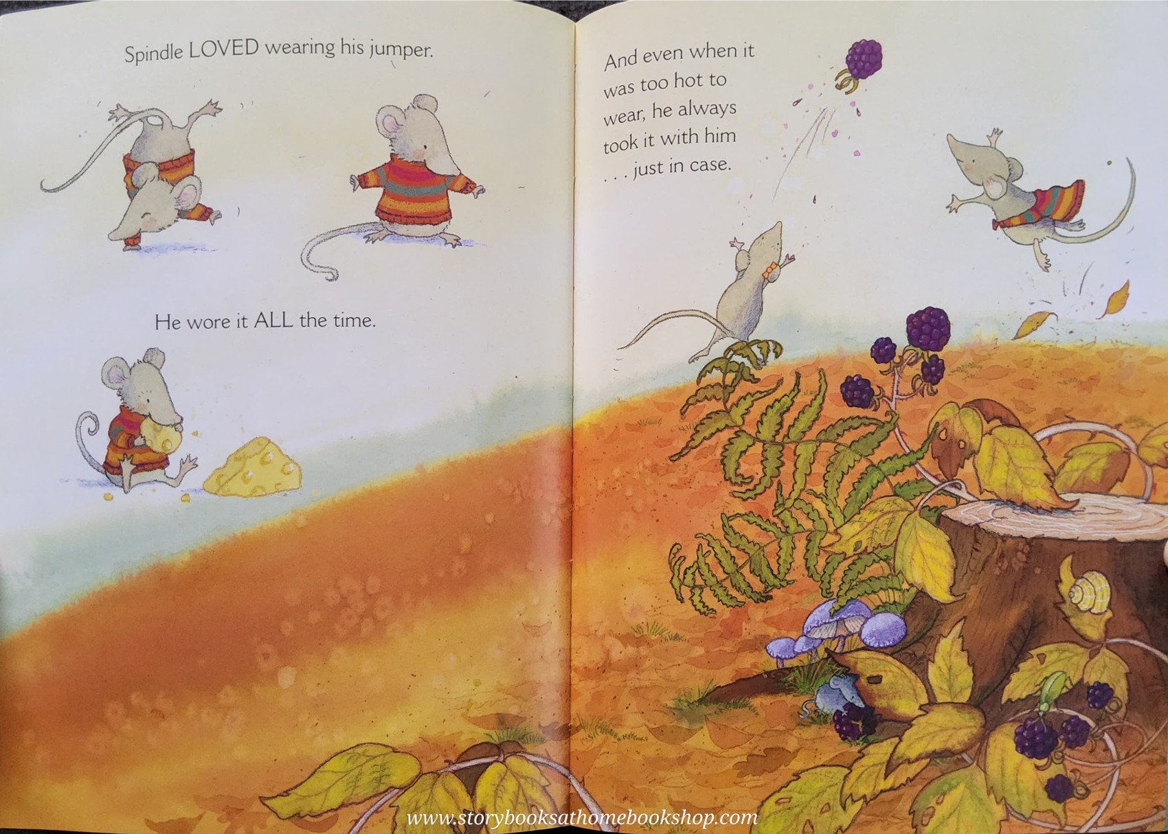 หนังสือนิทานปกอ่อน** 🍅🍓THE BEST JUMPER BY LYNNE GARNER AND SARAH GILL