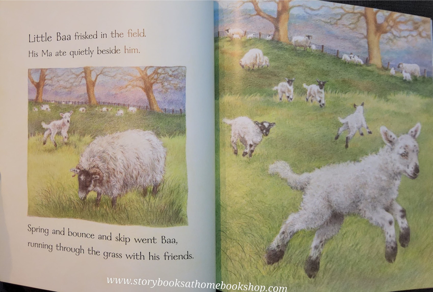 หนังสือนิทานปกอ่อน** 🍅LITTLE BAA BY KIM LEWIS♥️♥️