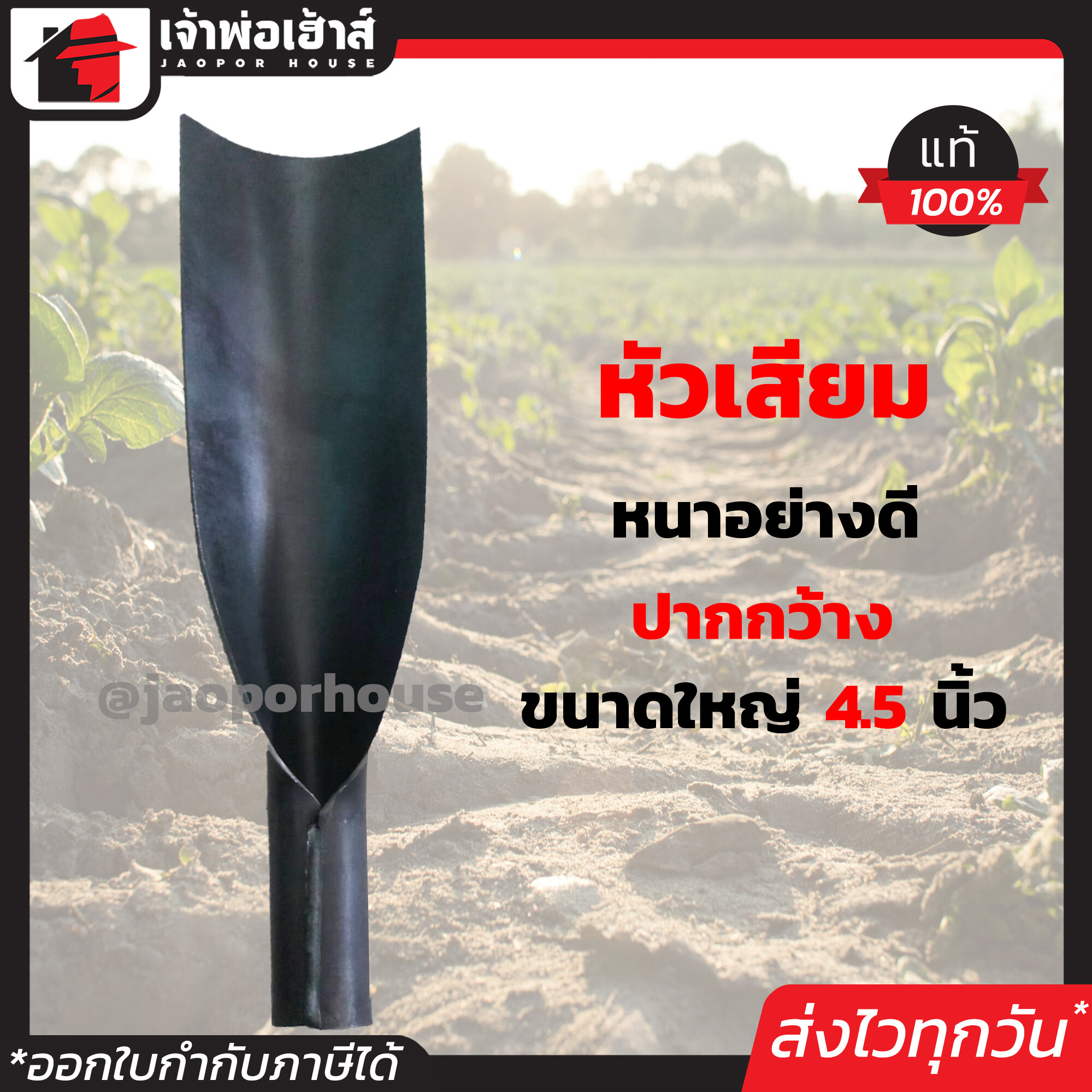 นกอินทรีย์ หัวเสียม หนาอย่างดี ปากกว้าง ขนาดใหญ่ 4.5นิ้ว * 15นิ้ว D11-02
