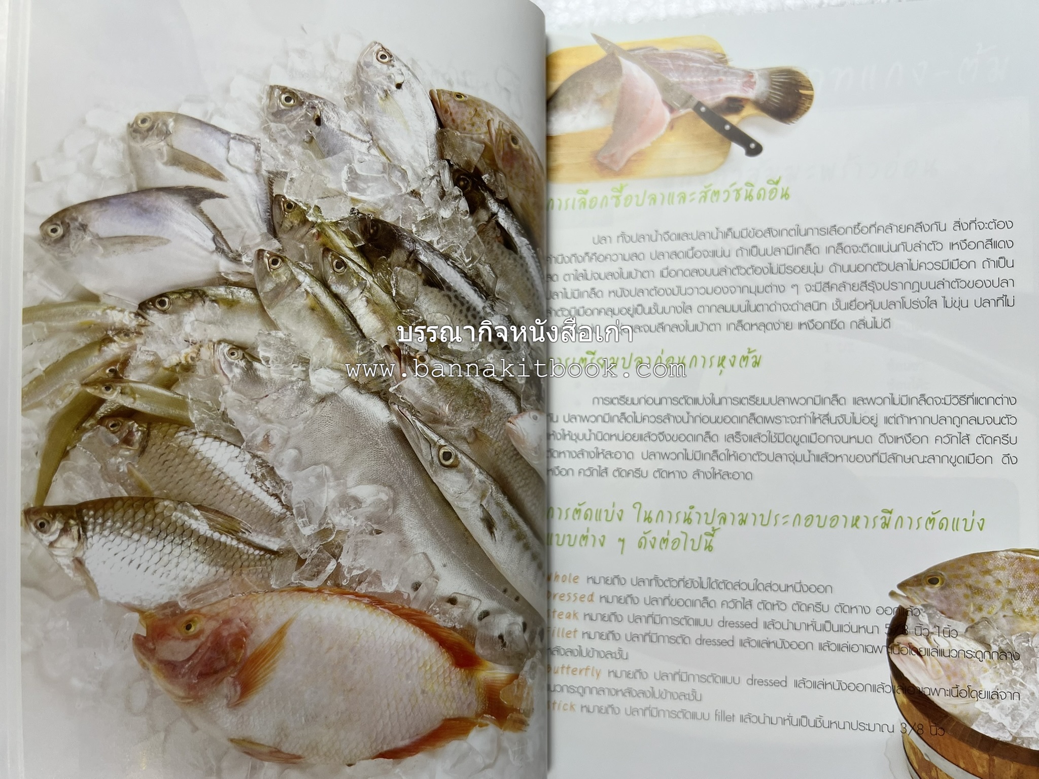 อร่อยเด็ด เมนูปลา โดย : สำนักพิมพ์แม่บ้าน.