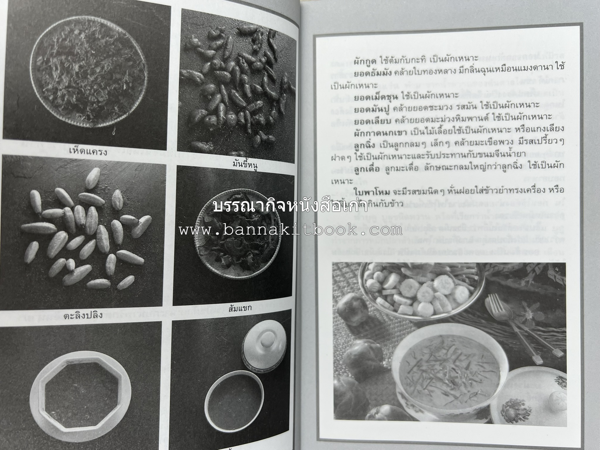 จานอาหารใต้ รวบรวมโดย : สำนักพิมพ์แสงแดด.