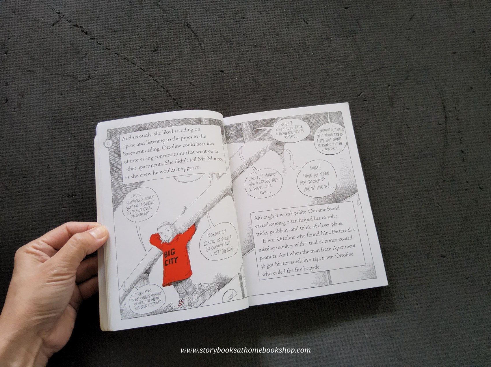 วรรณกรรมเยาวชน** **หนังสือนิทานปกอ่อน** 🍅🍓CHRIS RIDDELL:OTTOLINE AND THE YELLOW CAT