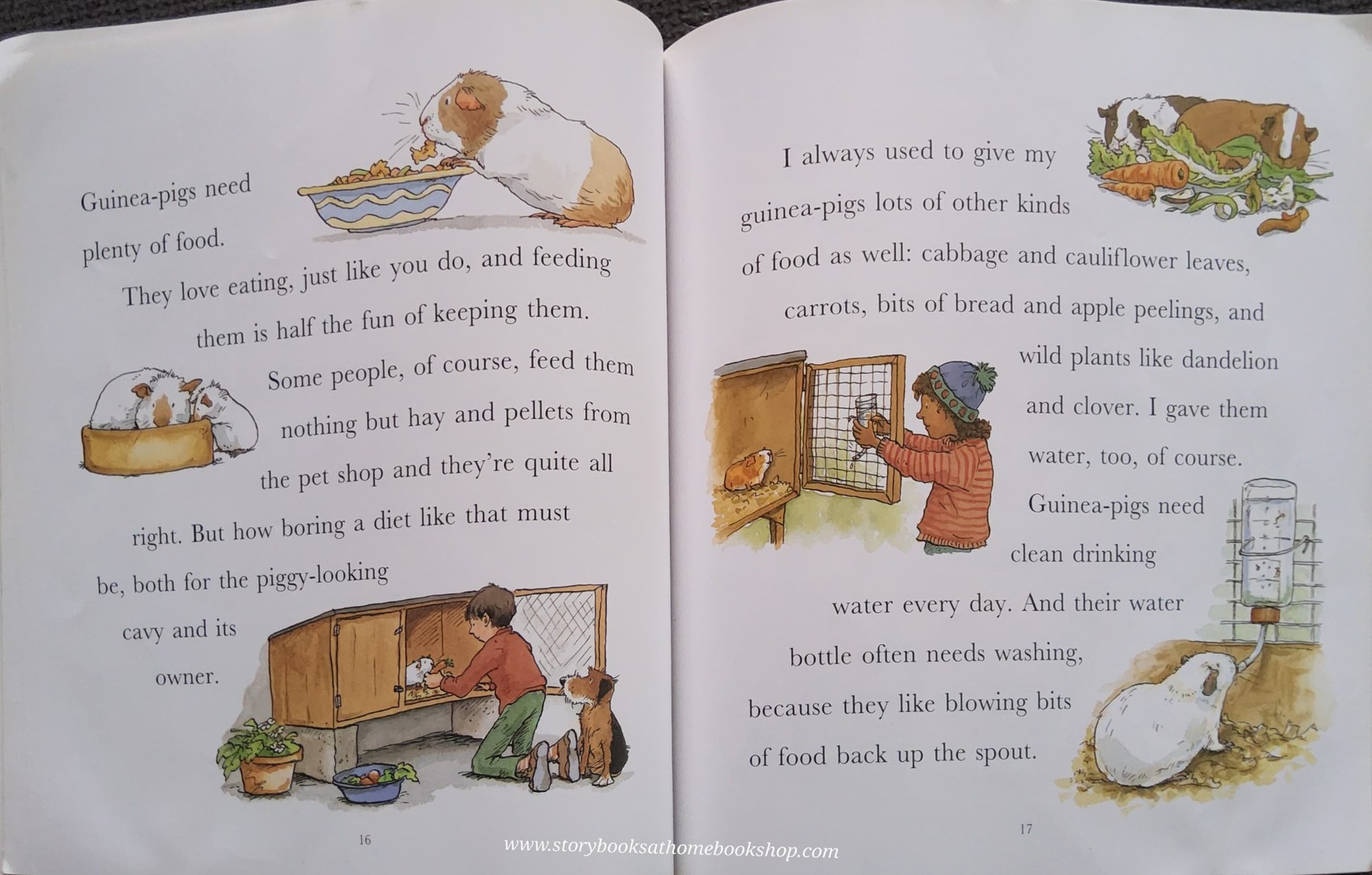 หนังสือนิทานปกอ่อน ** 🍅🍅I LOVE GUINEA-PIGS BY DICK KING-SMITH (NATURE STORYBOOK)