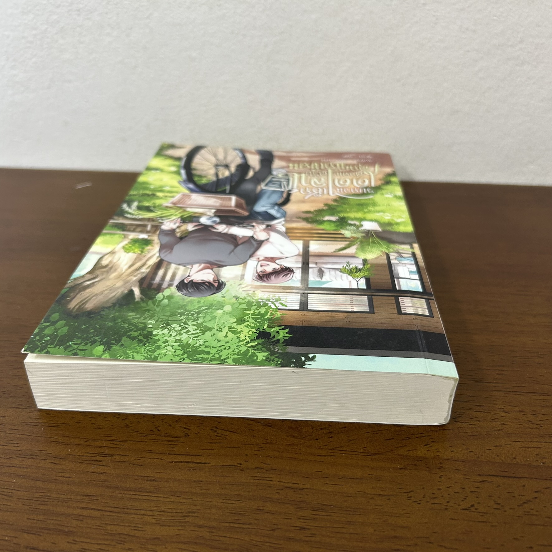 [YAOI] รบกวนเช็กเดดไลน์ด้วยนะครับ...คุณนักเขียน ... SweetyN (มือสอง) นิยายวาย NanaNaris