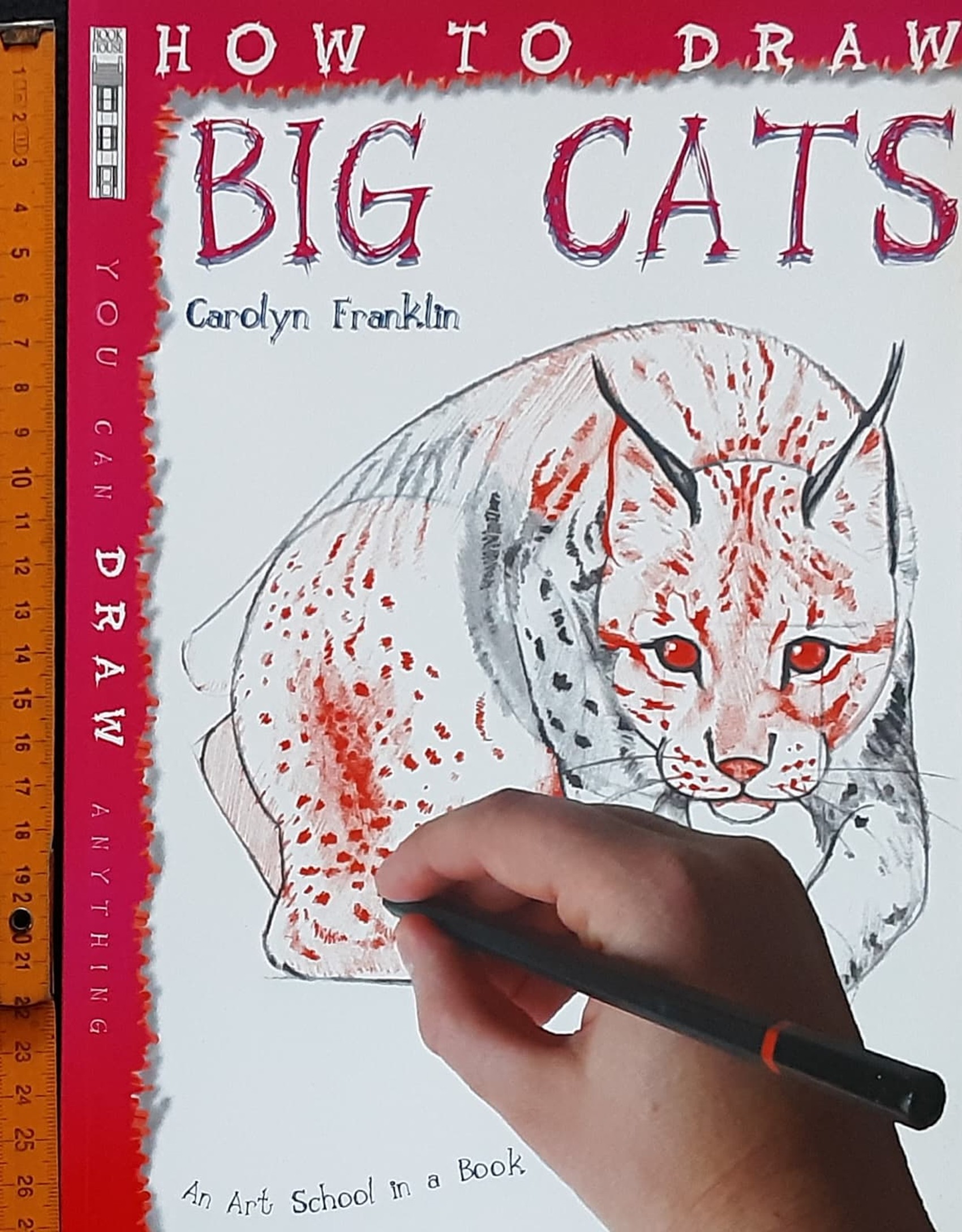 DRAWING BOOK** 🍅🍓HOW TO DRAW BIG CATS