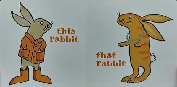 Board Book** 🍅🍓this rabbit,that rabbit by jane porter