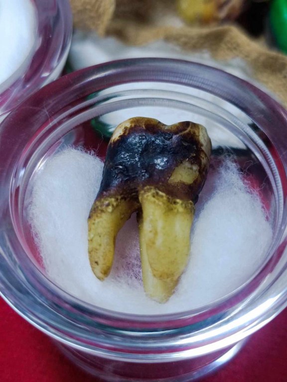 พระทันตธาตุครูบาแก้ว สิริวิชโย วัดดงมะเฟือง อ.แม่ลาว จ.เชียงราย ได้มาจากครูนันทชัย อดีตครูโรงเรียนดงมะดะ ปัจจุบัน (บันทึก 2566) ท่านอายุ 82 ปี ท่านเคยเป็นศิษย์และนับถือครูบาแก้ว ครูนันทชัยท่านเก็บสะสมวัตถุมงคลครูบาแก้ว