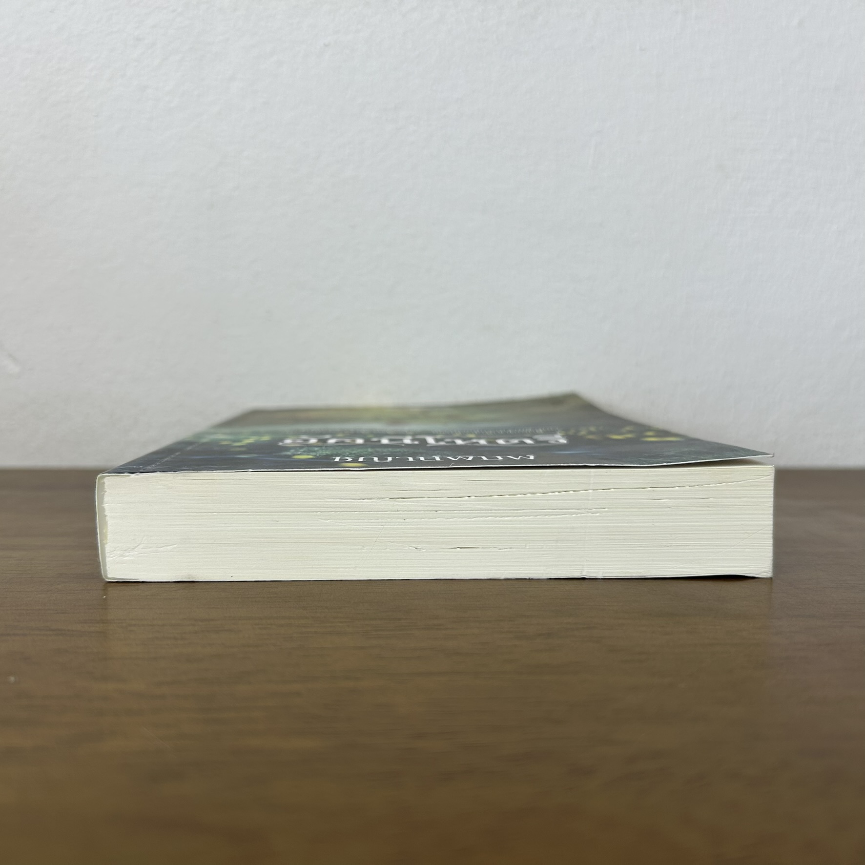 อัคนีโหตรี ... ชญาน์พิมพ์ (มือสอง) นิยาย โรแมนติก พิมพ์คำ สถาพร