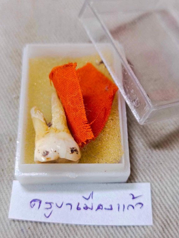 พระทันตธาตุและจีวรครูบาเมืองแก้ว วัดปทุมสราราม หรือวัดสันปูเลย ต.ศรีเตี้ย อ.บ้านโฮ้ง จ.ลำพูนได้มาจากลุงประสิทธิ์ อดีตนายอำเภอ เวียงหนองล่อง อายุ 74 ปี (บันทึกปี 2566) เล่าว่าได้มาประมาณปี 2545 จากพ่อคำ ชื่อจริงชื่อคำสอน คนศรีเตี้ย อ.บ้างโฮ่ง จ.ลำพูน