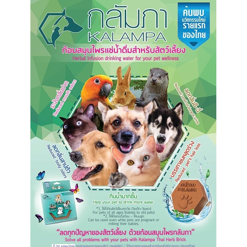 กลัมภา Kalampa ก้อนสมุนไพรแช่น้ำดื่มสำหรับสัตว์เลี้ยง มี 2 สูตร สูตรปกติและสูตรเข้มข้น ขนาด 320g