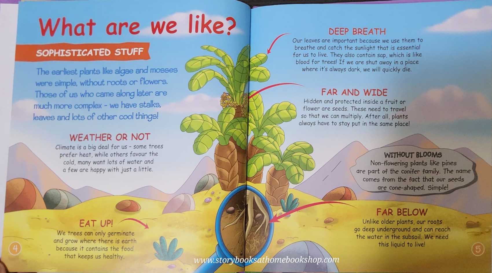 หนังสือนิทานปกแข็ง** 🍅🍓DINOSAURS&FRIENDS READ.LEARN.PLAY:PREHISTORIC PLANTS:PLAMS,PINES AND MAGNOLIAS #54