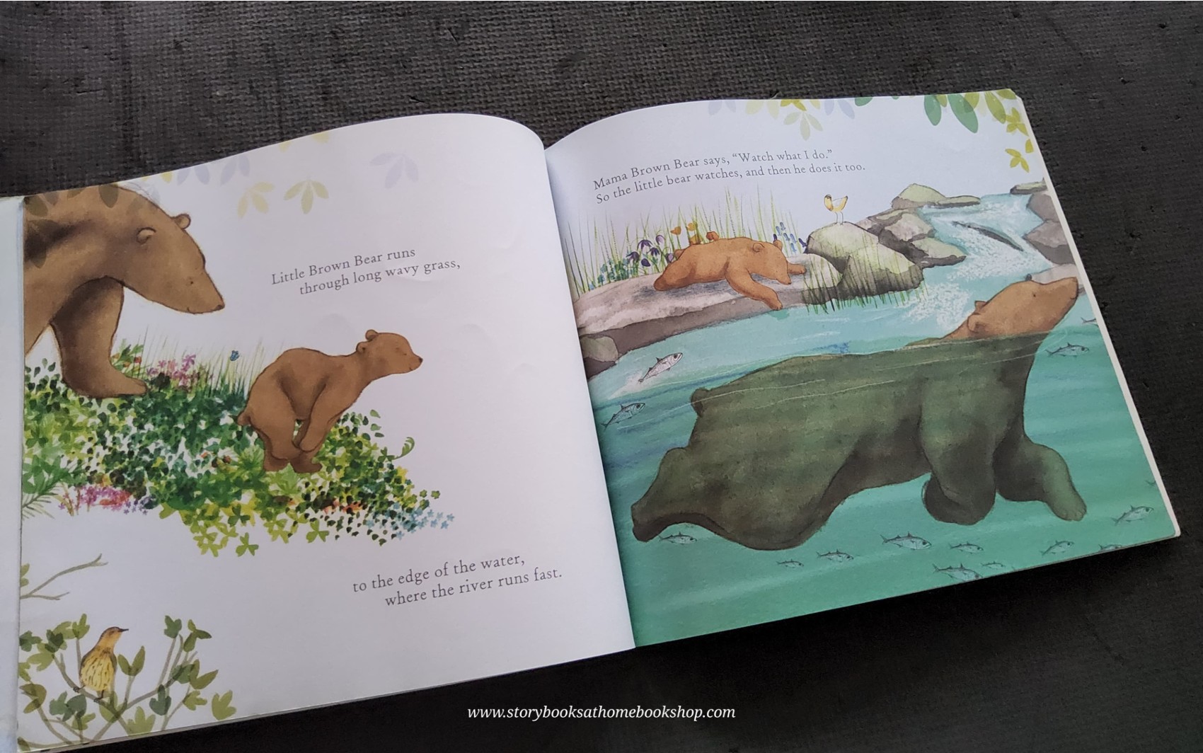หนังสือนิทานปกอ่อน ** 🍅🍓 TWO LITTLE BEARS