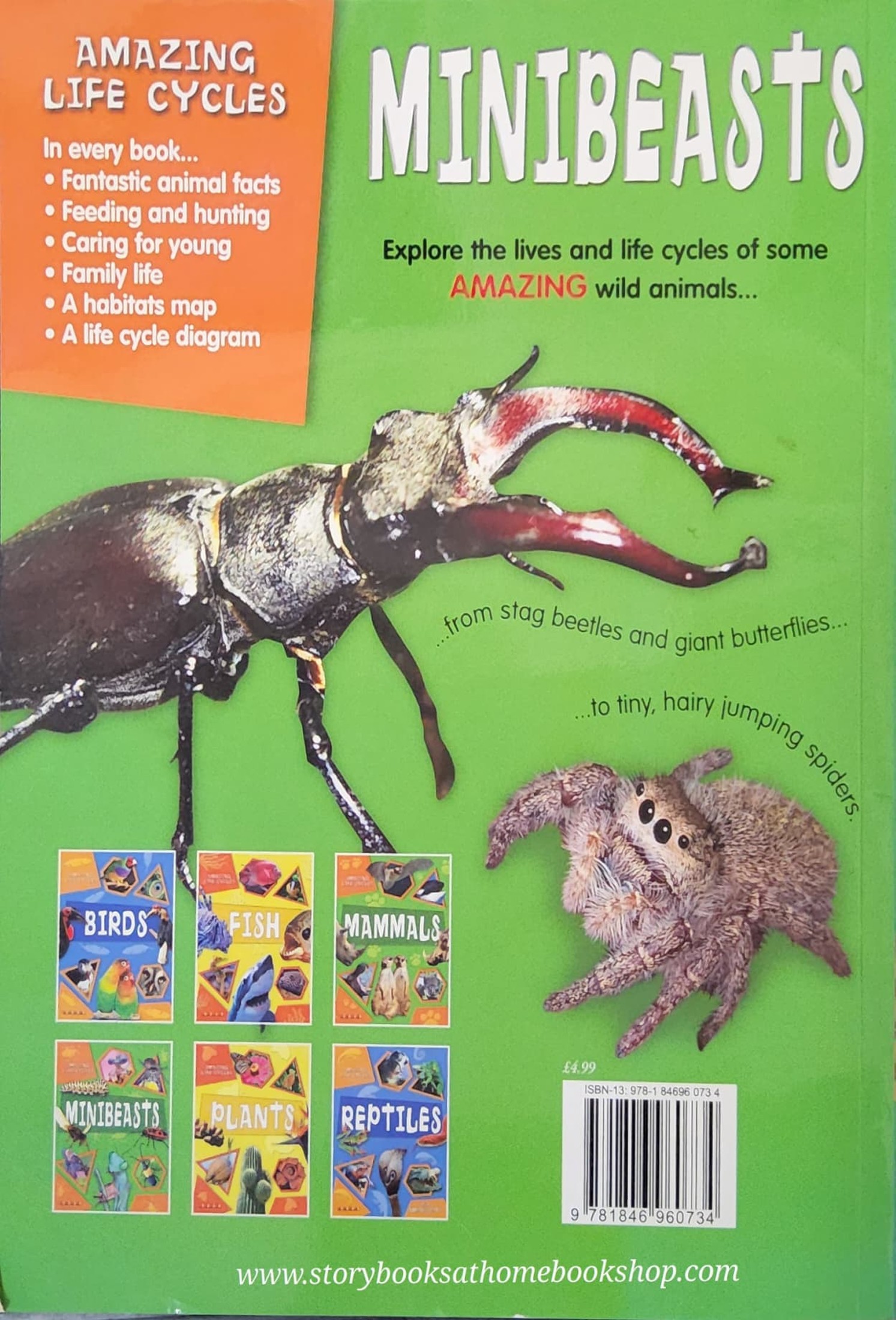 KNOWLEDGE BOOK** ð
ðAMAZING LIFE CYCLES:MINIBEASTS