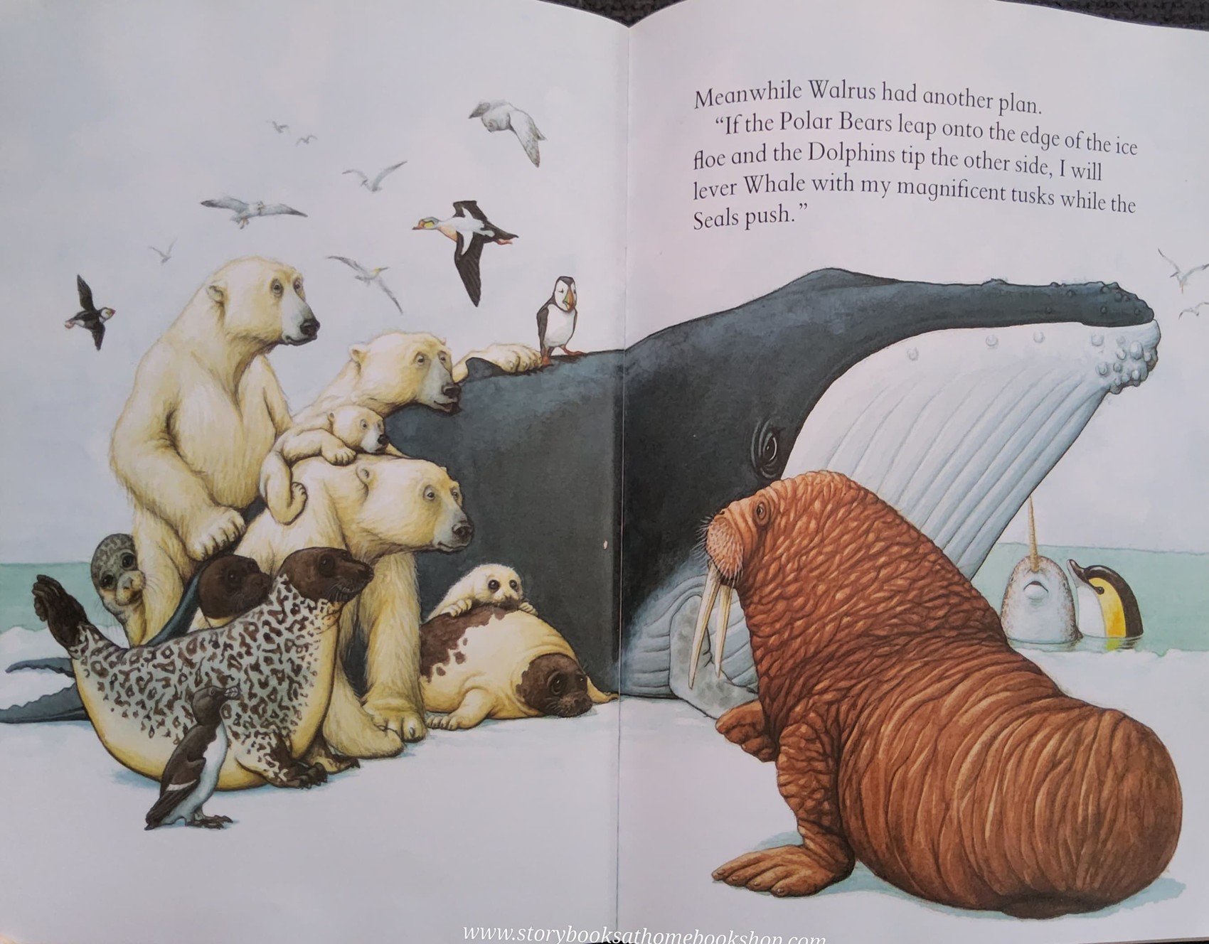 หนังสือนิทานปกอ่อน** 🍅🍓WHALE IS STUCK BY CHARLES FUGE AND KARAN HAYLES