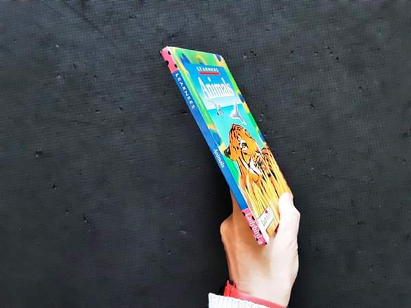 หนังสือนิทานเด็ก ภาษาอังกฤษ ปกแข็ง 🍅🍓Animals/Used สภาพ 80-90%