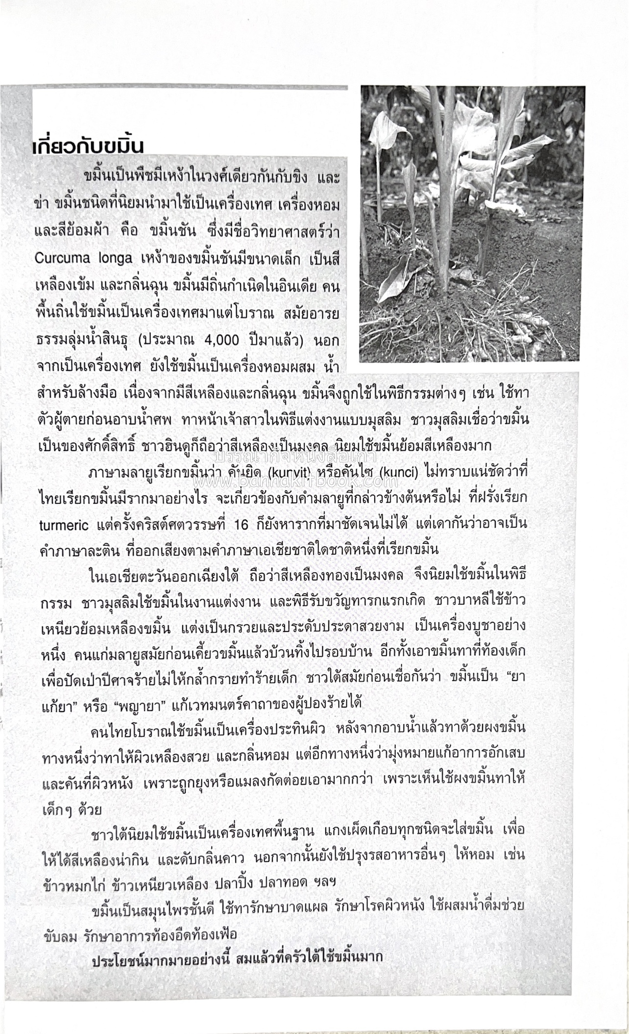 ครัวไทย วัฒนธรรมอาหาร ครัวท้องถิ่น อาหารพื้นบ้านไทย โดย : ทวีทอง หงษ์วิวัฒน์.