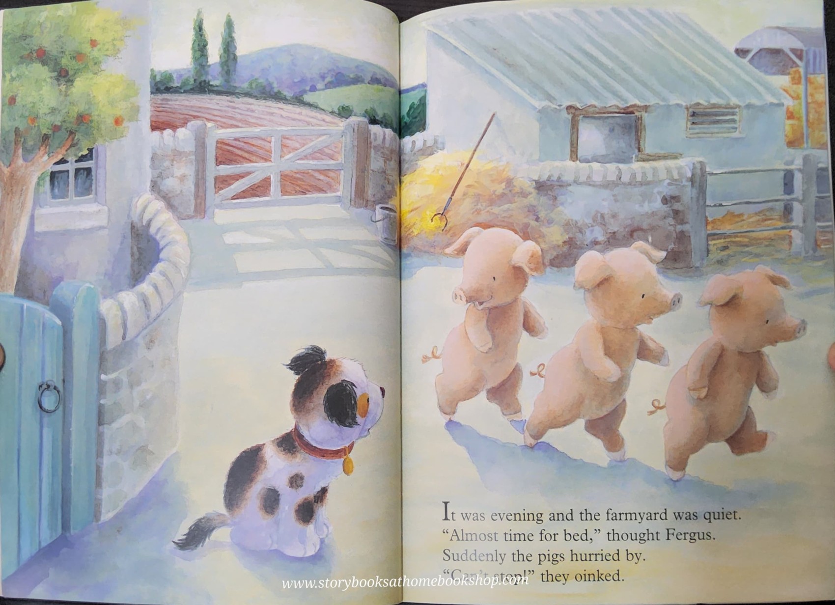 หนังสือนิทานปกอ่อน ** 🍅🍓 FERGUS'S SCARY NIGHT