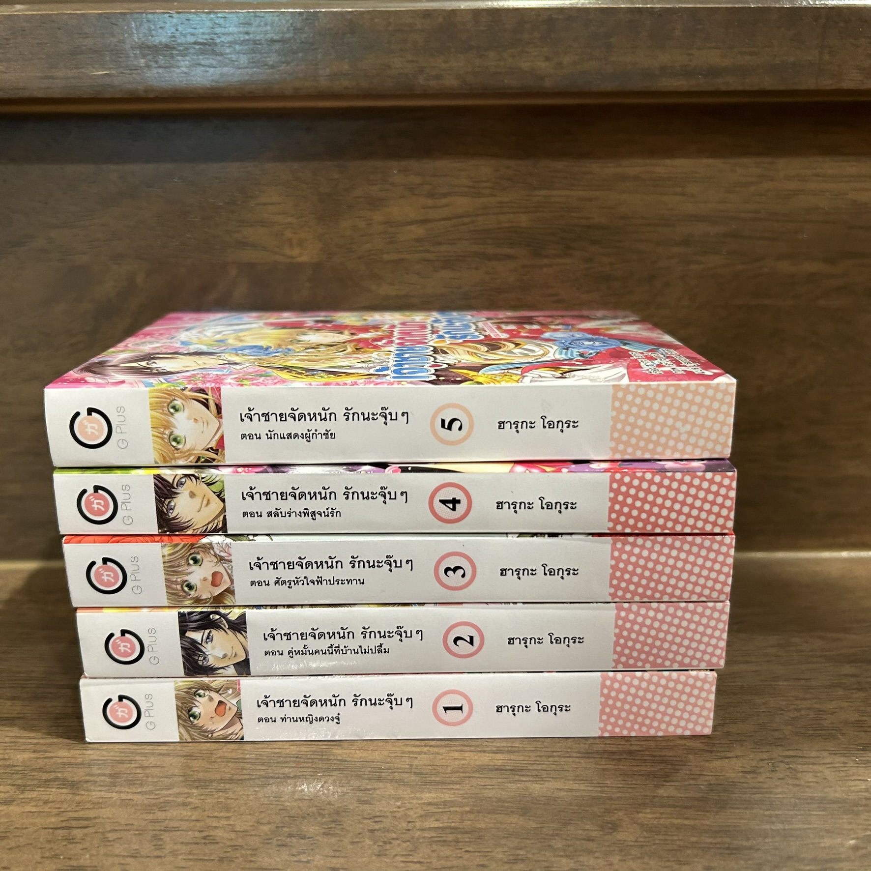 [LIGHT NOVEL] เจ้าชายจัดหนัก รักนะจุ๊บๆ 1-5 (มือสอง) (ได้ 5 เล่ม)