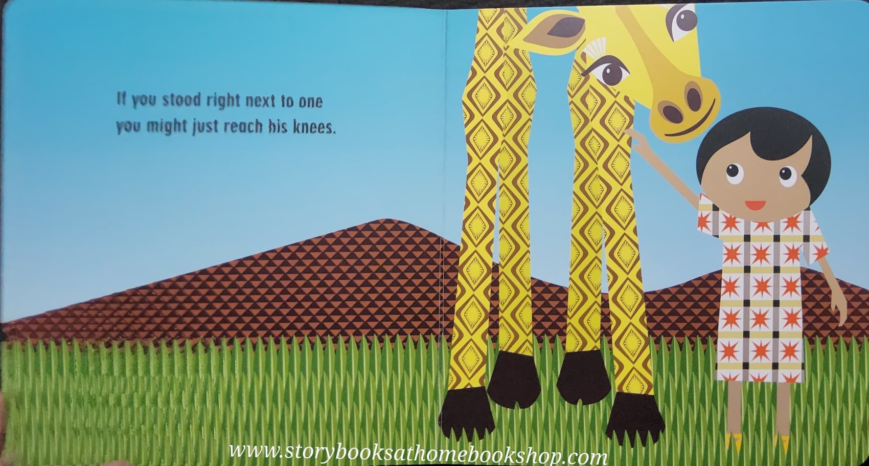 BOARD BOOK ** ð
THE SAFARI SETð