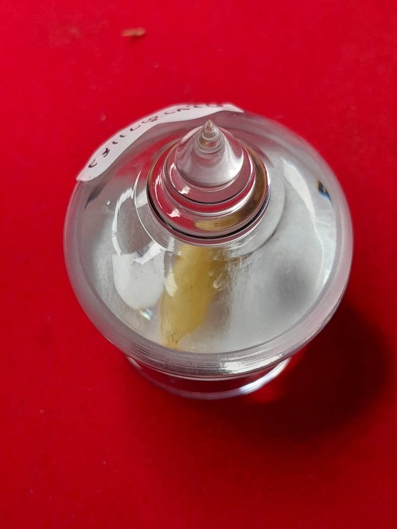 พระทันตธาตุครูบาคำแสง วัดพระธาตุสันขวาง อ.เมือง จ.เชียงราย ได้มาจากลุงหนานธงชัย อายุ 78 ปี พ่อหนานธงชัยเป็นกรรมการวัดเหมืองแดง อ.แม่สาย จ.เชียงราย และทำงานเป็นหมอยารักษาคนแบบวิชาโบราณล้านนา