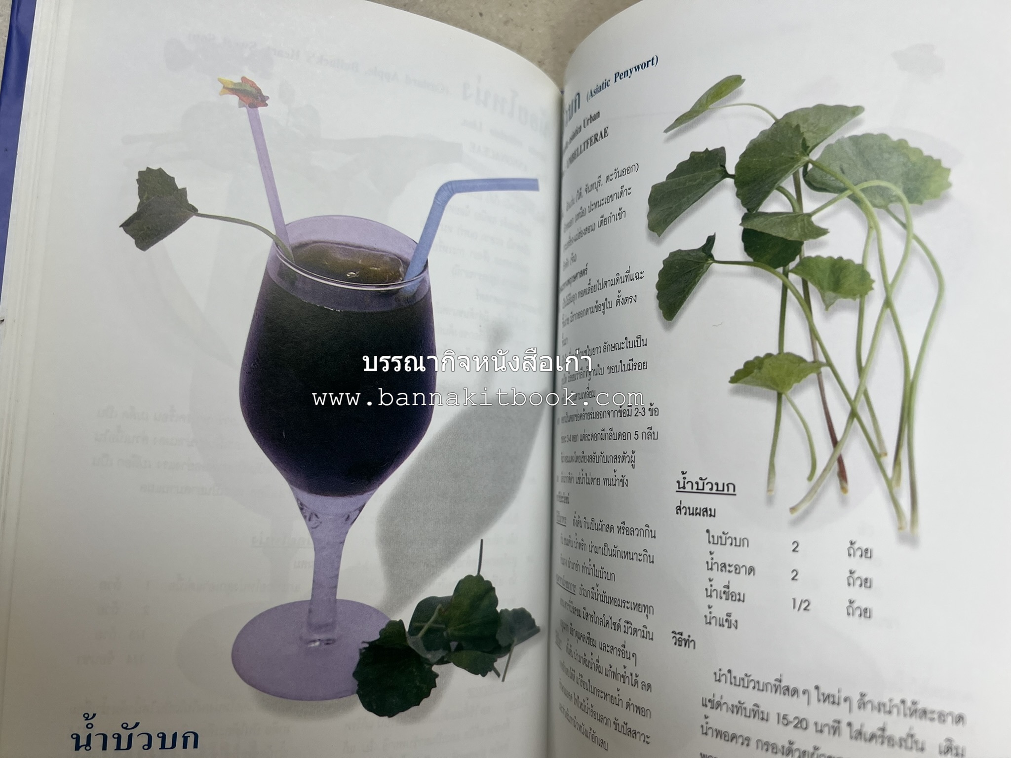 น้ำสมุนไพร 108 สูตร-วิธีทำจากผักพื้นบ้านและผลไม้ไทย โดย สถาบันการแพทย์แผนไทย.