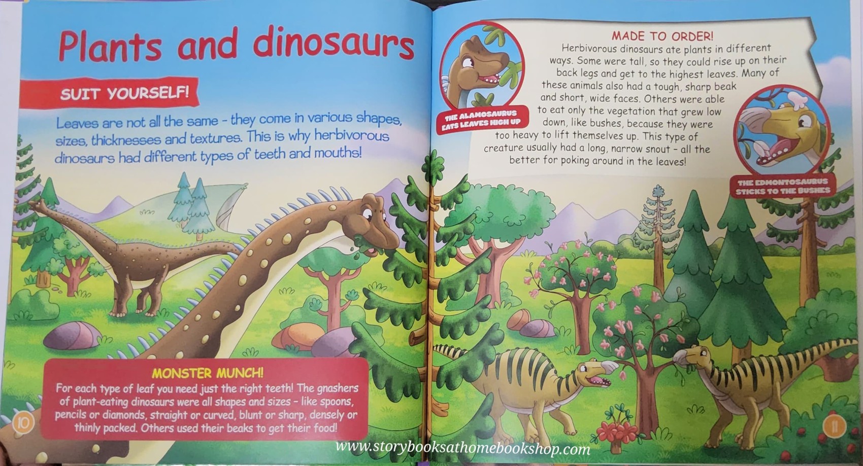 หนังสือนิทานปกแข็ง** 🍅🍓DINOSAURS&FRIENDS READ.LEARN.PLAY:PREHISTORIC PLANTS:PLAMS,PINES AND MAGNOLIAS #54