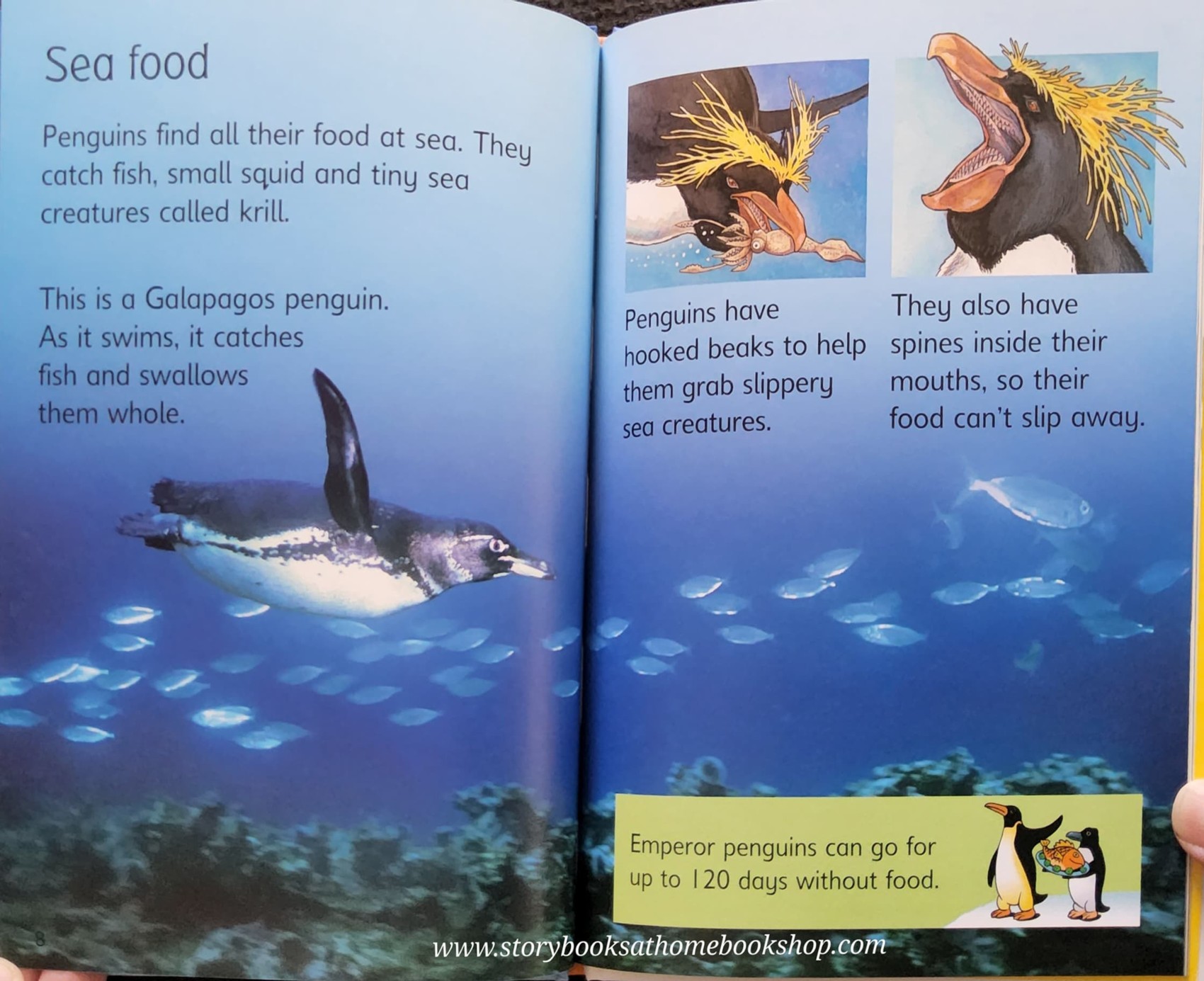 KNOWLEDGE BOOK** ♥️♥️USBORNE PENGUINS