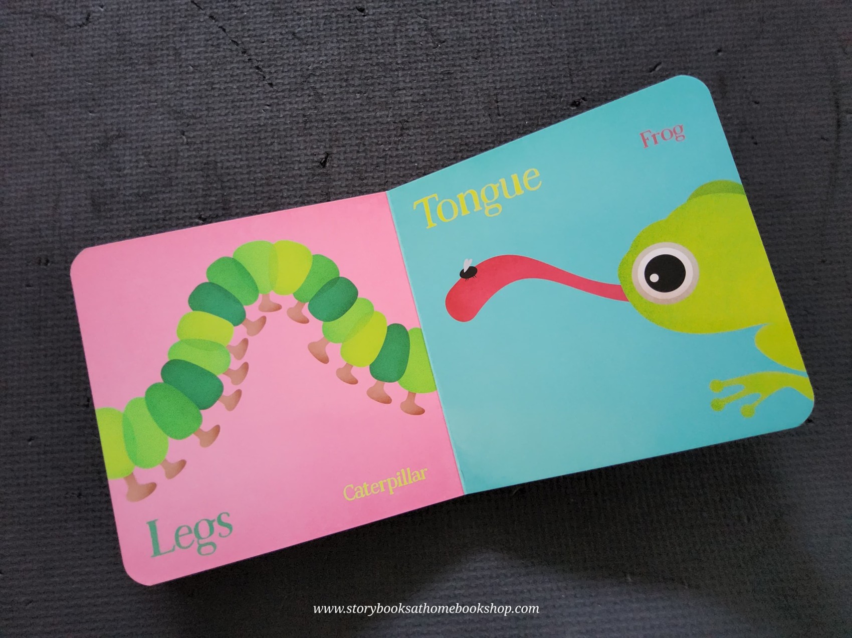 BOARD BOOK** 🍅🍓HOOT'S FIRST BOOK OF THE BODY